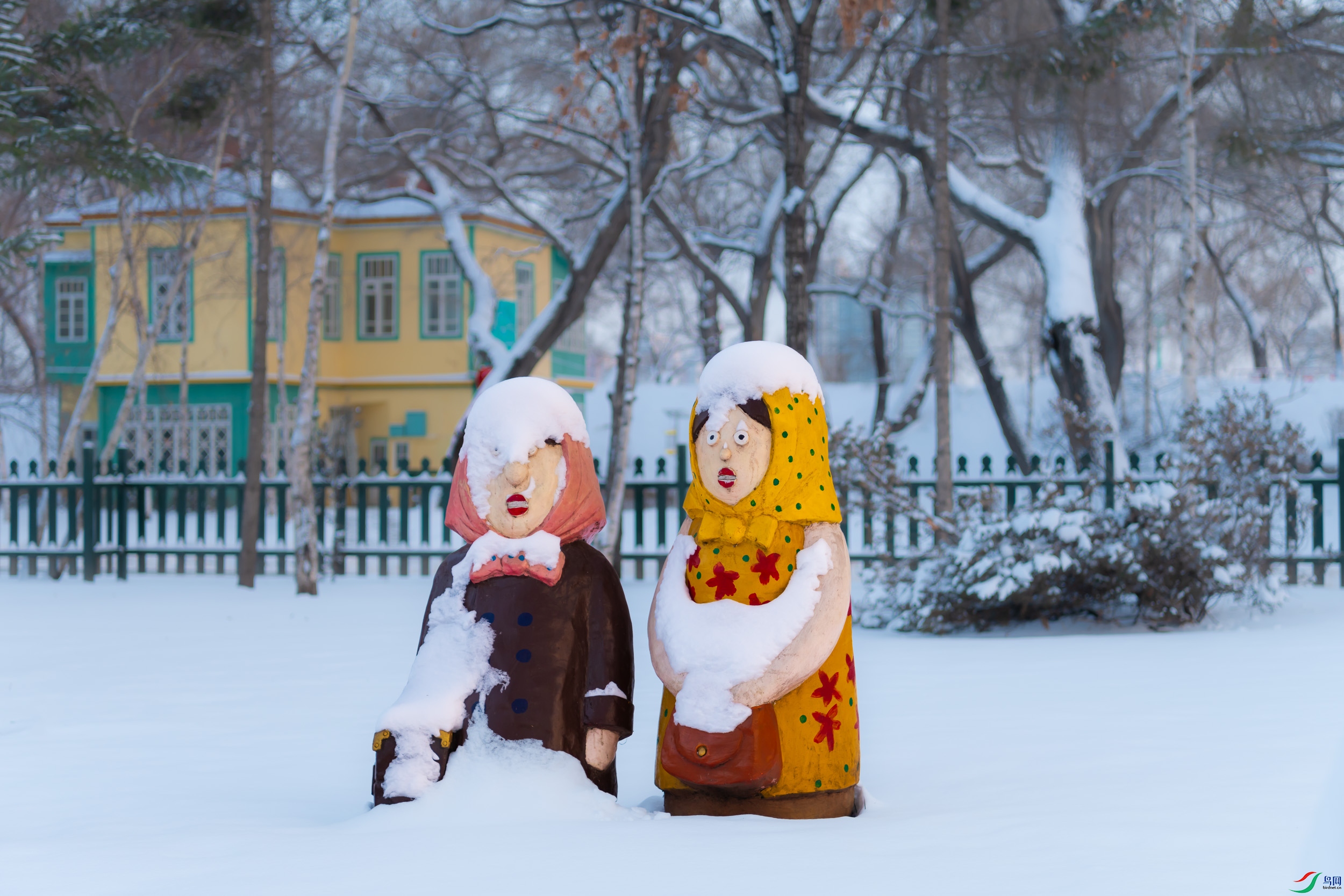 ��ѩͯ������֮��