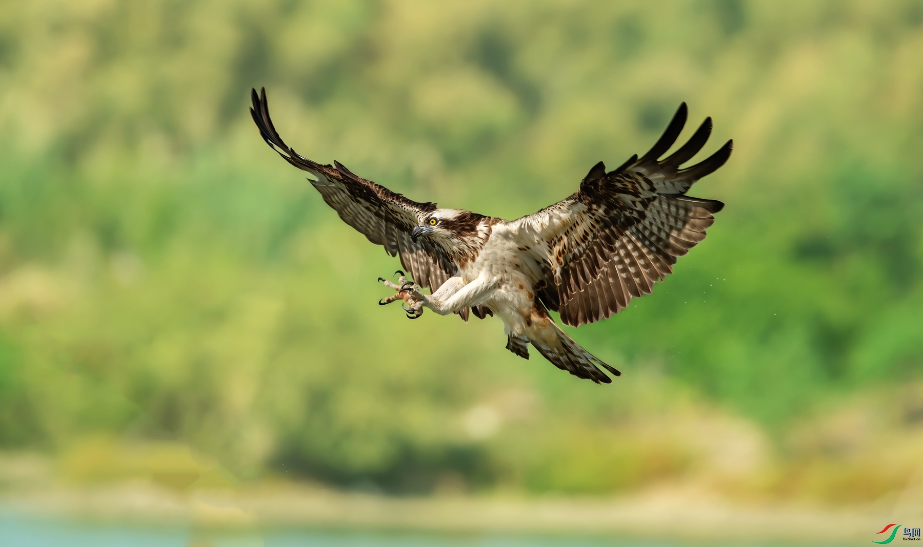 ZWD_9421.jpg�� ����_����.jpg