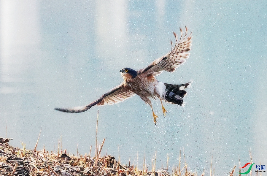 1P3A8834.JPG