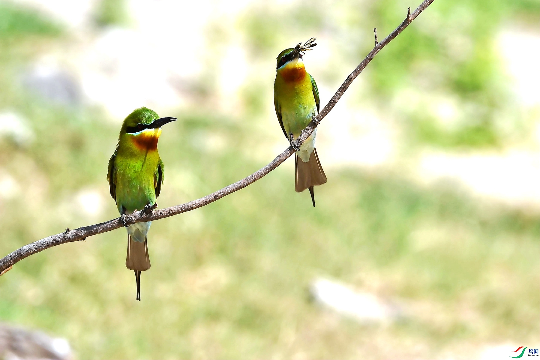 DSC_9418_����.jpg