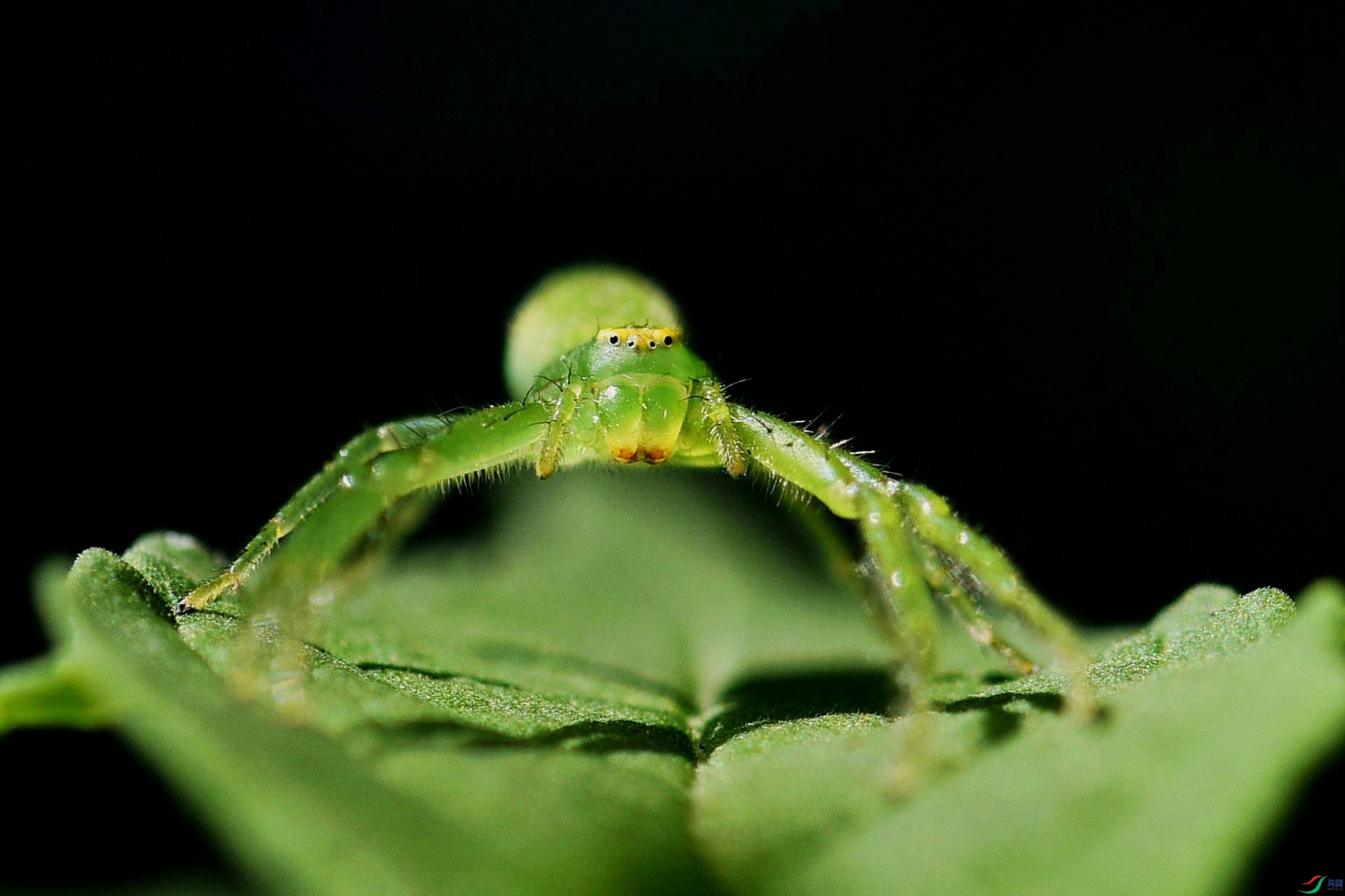 DSC_2633_����.jpg