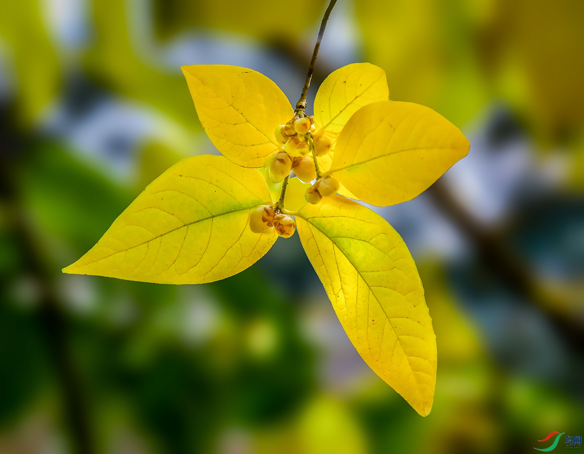 00000583A0487 ����3 ����800k.jpg