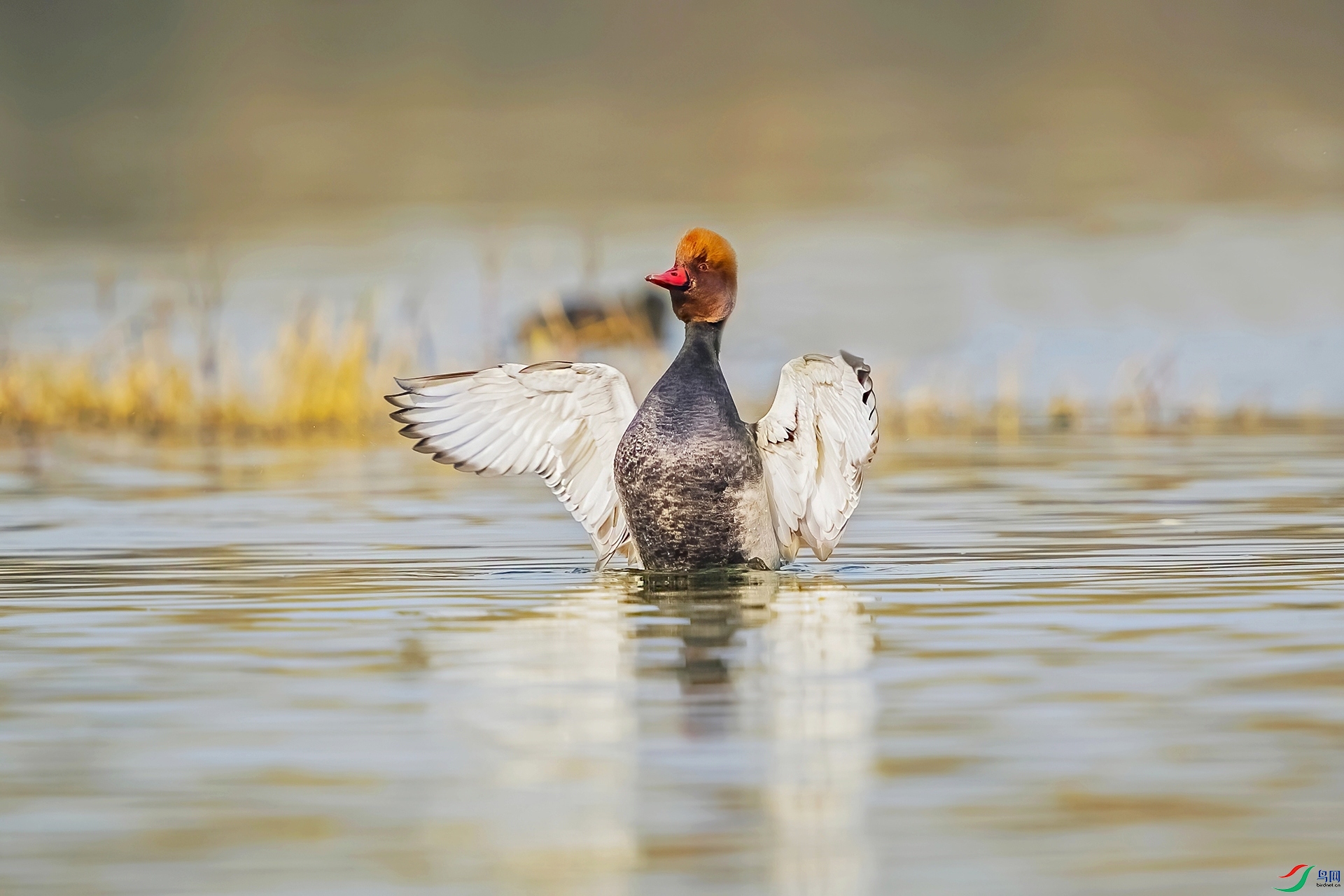 _20221129225745.jpg