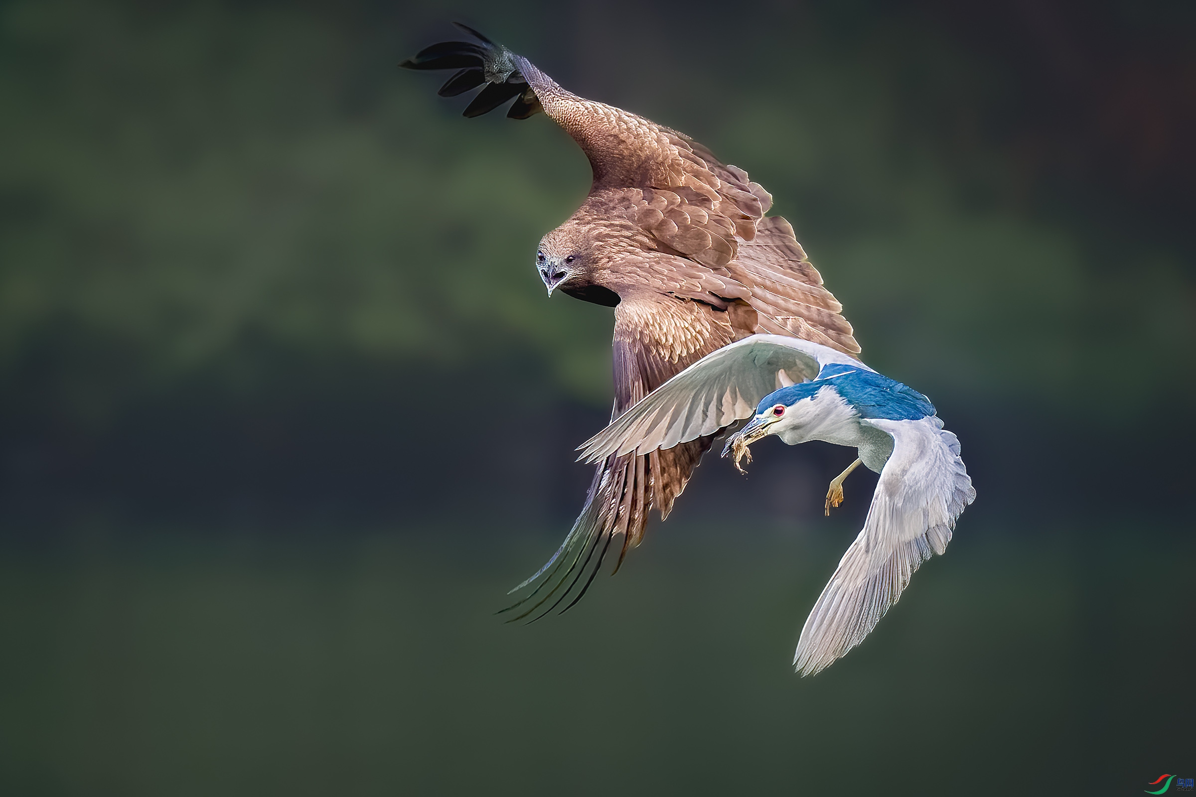 DSC_0002 ����L.jpg