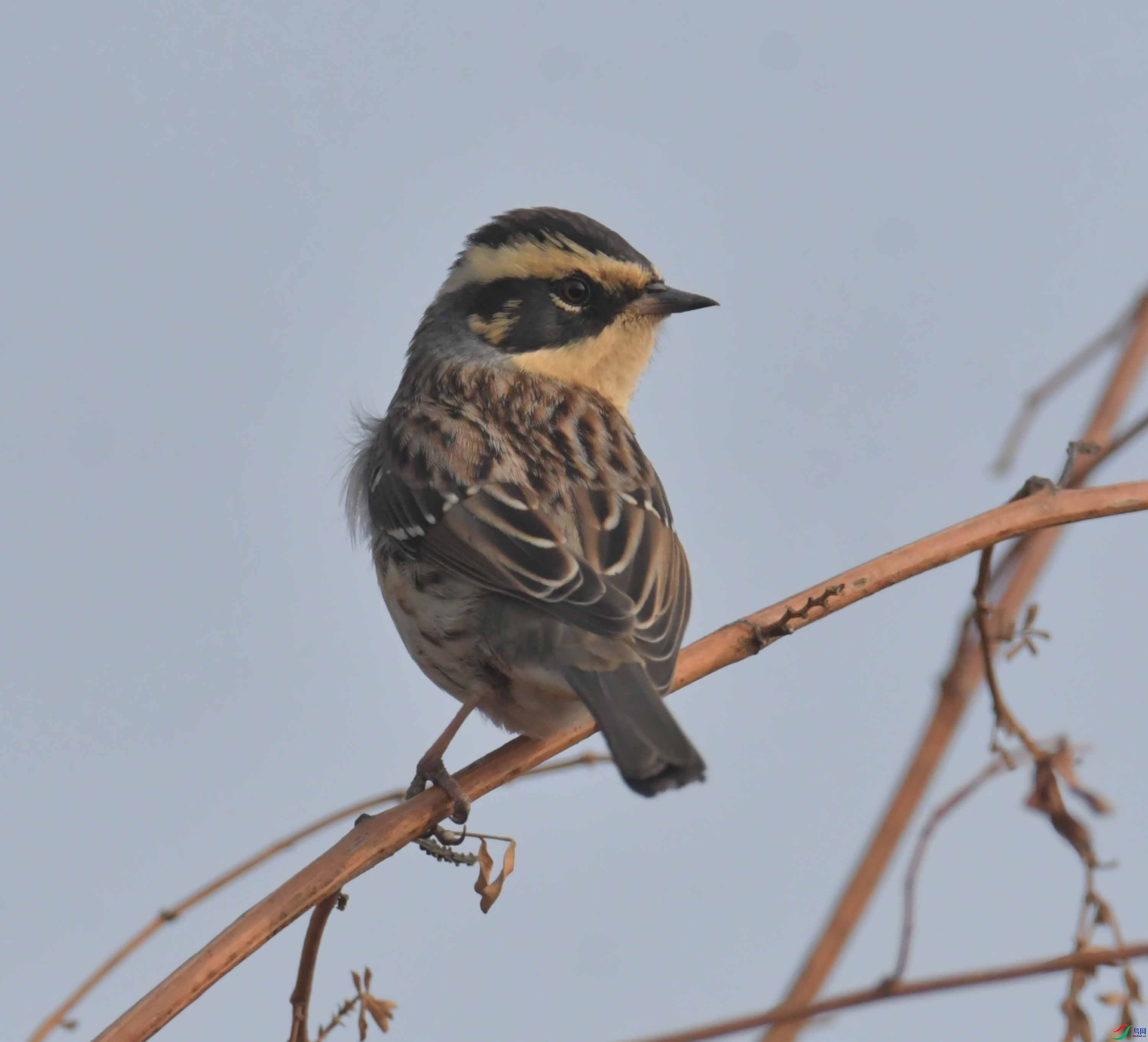 DSC_2134.JPG