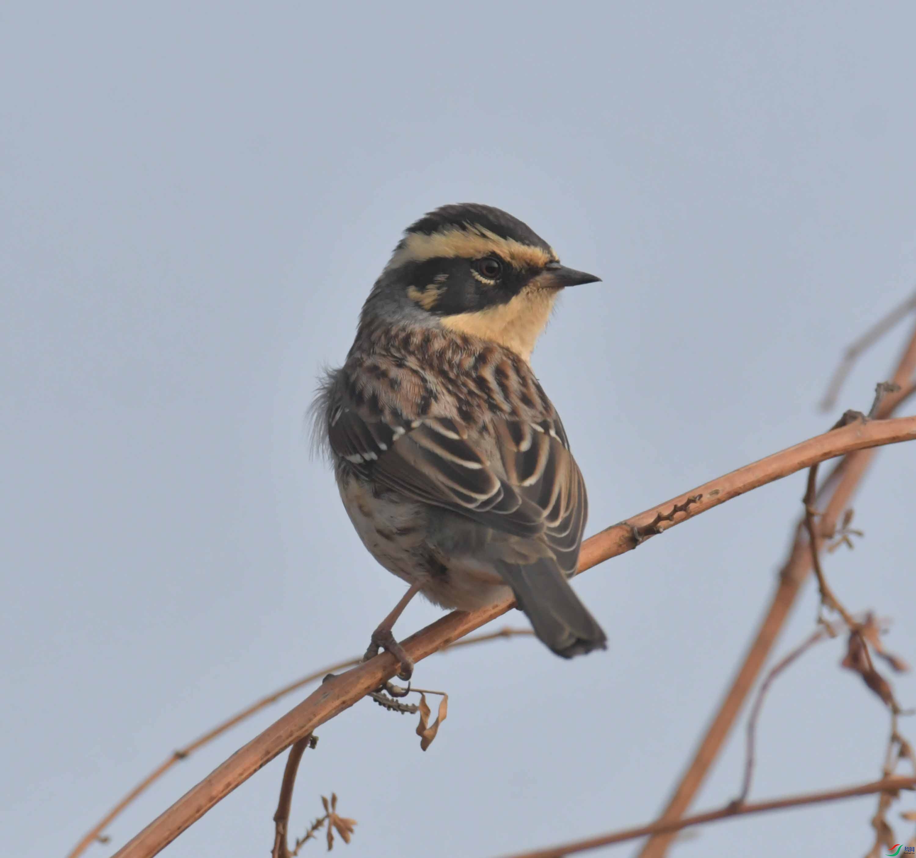 DSC_2128.JPG