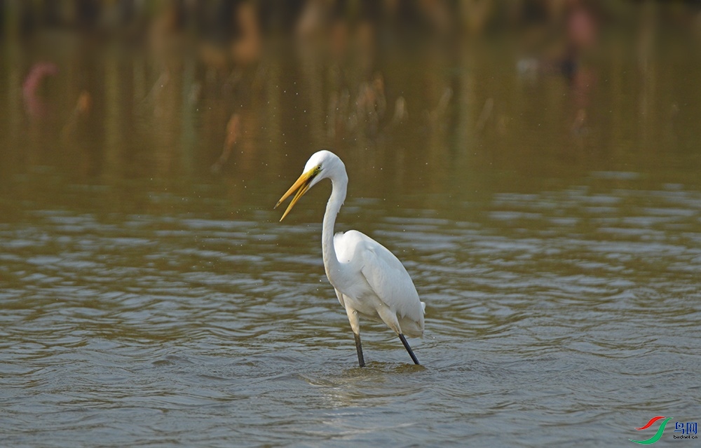 DSC_0157.jpg