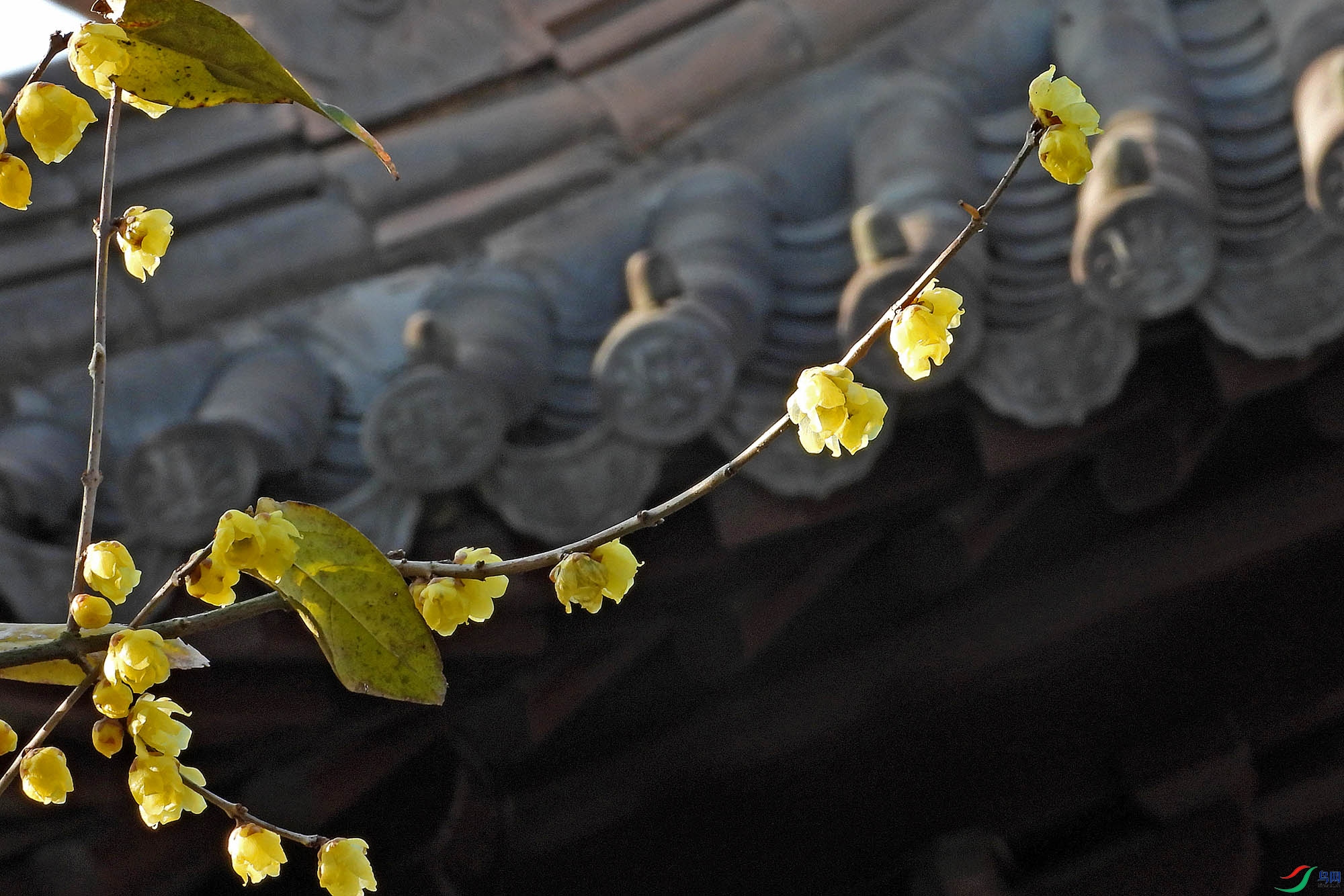 DSCN2420.JPG