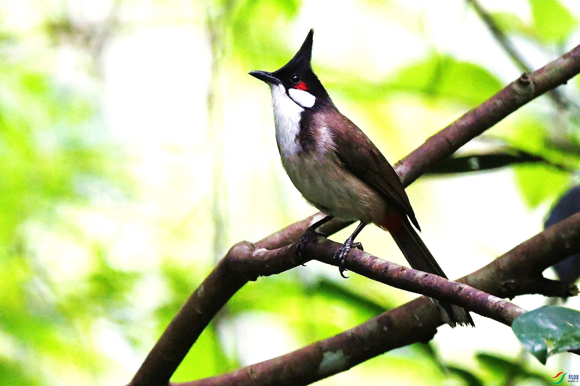 NIKON D5001027_����.jpg