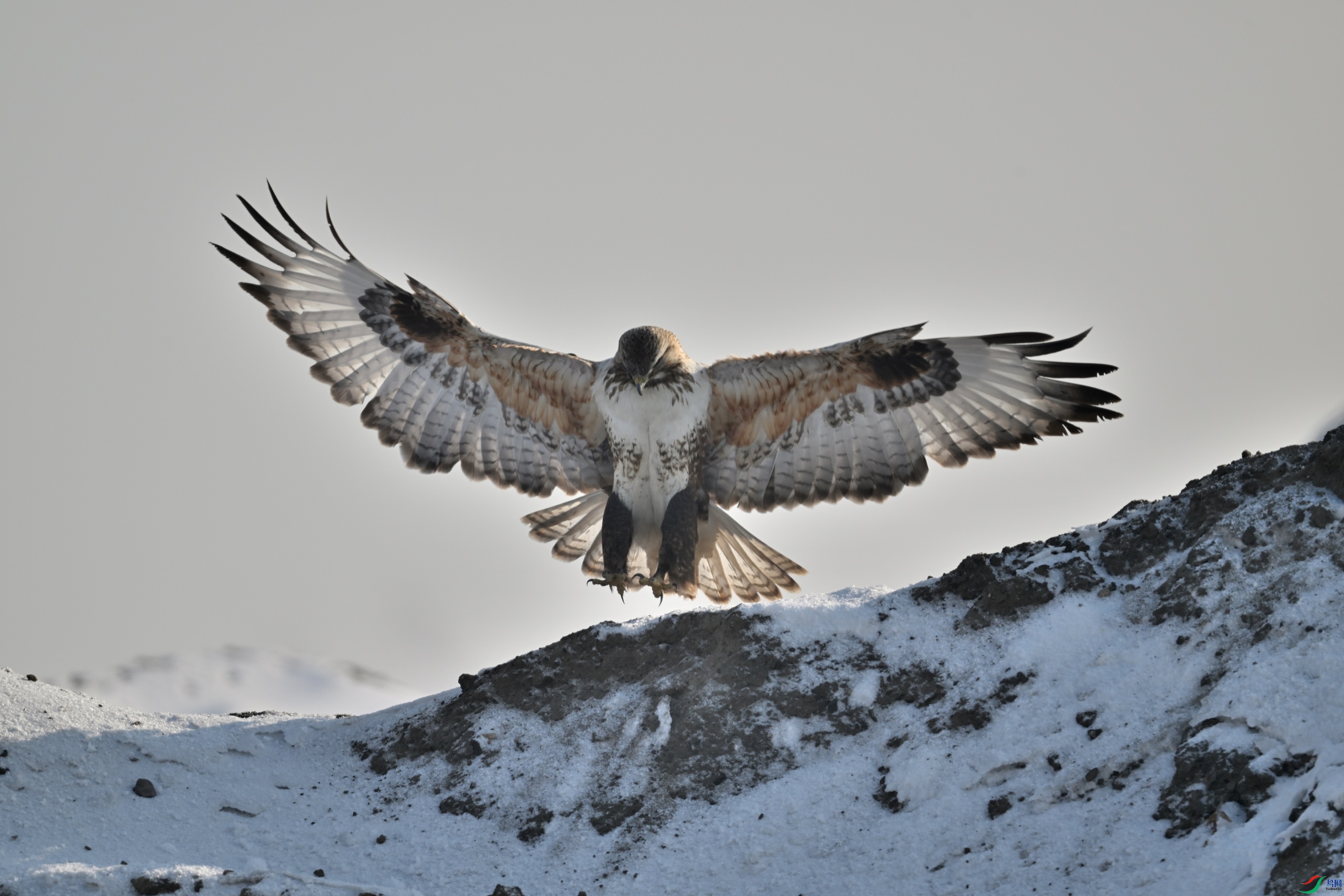DSC_0904.JPG