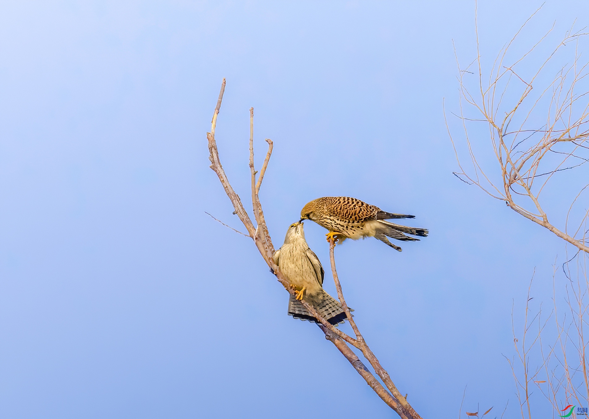 _JLN4900_1     ok.jpg