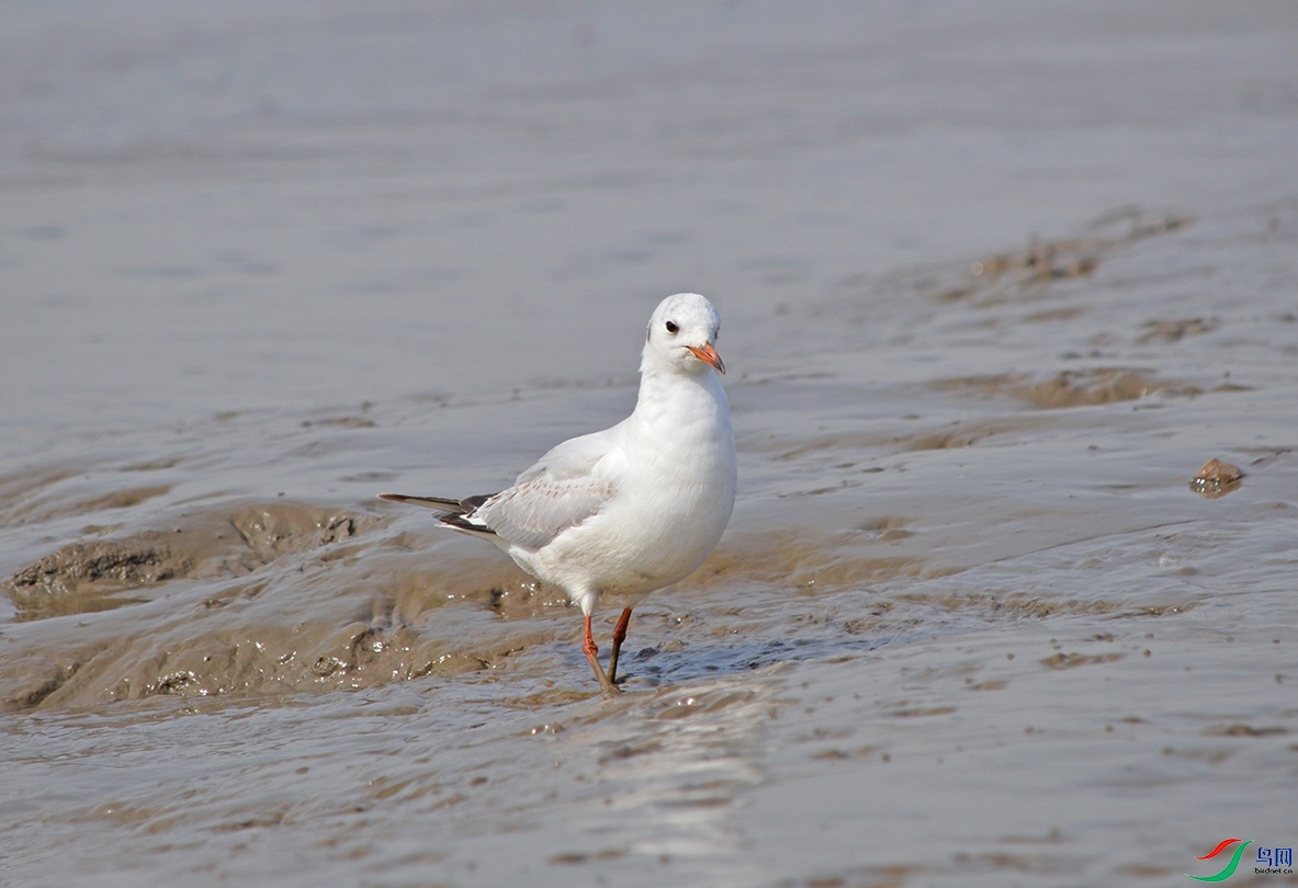 DSC_0054.jpg