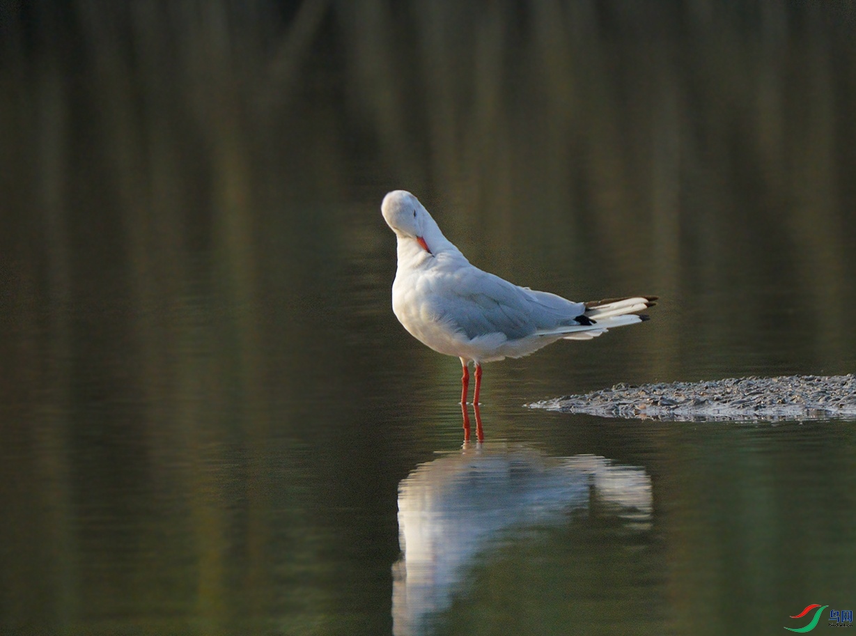 DSC_0145.jpg