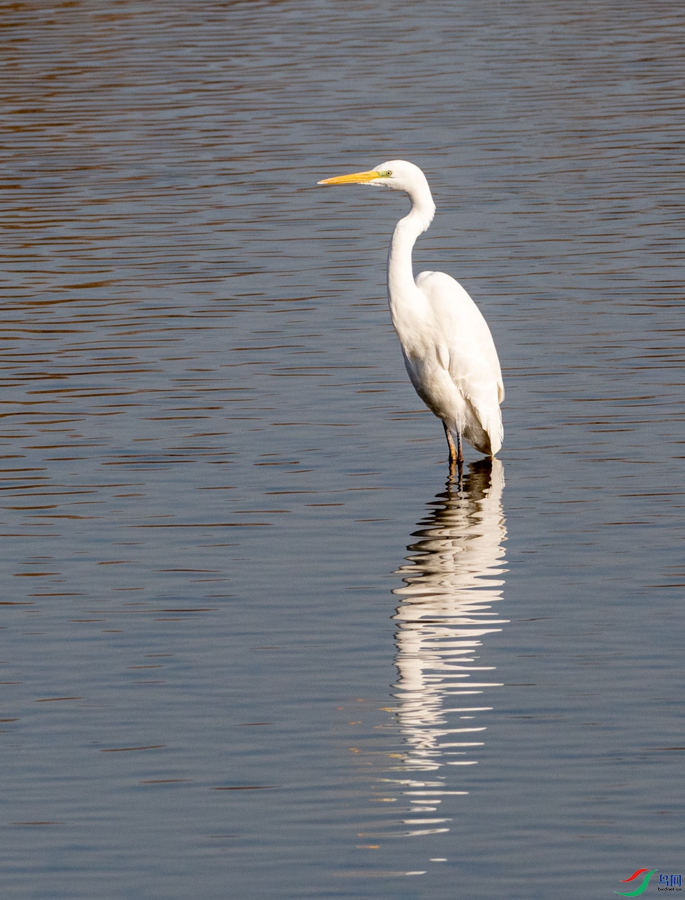 DSC_3637.jpg