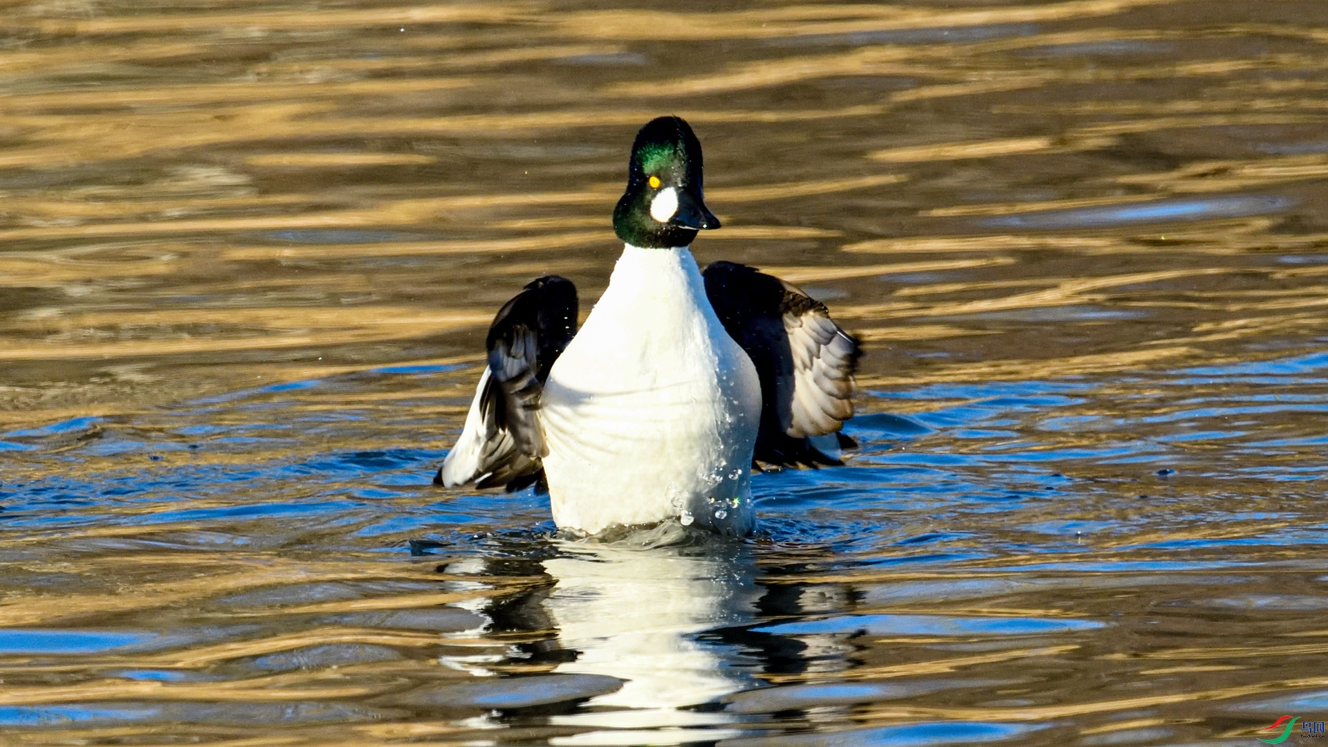 _DSC3900_����.jpg