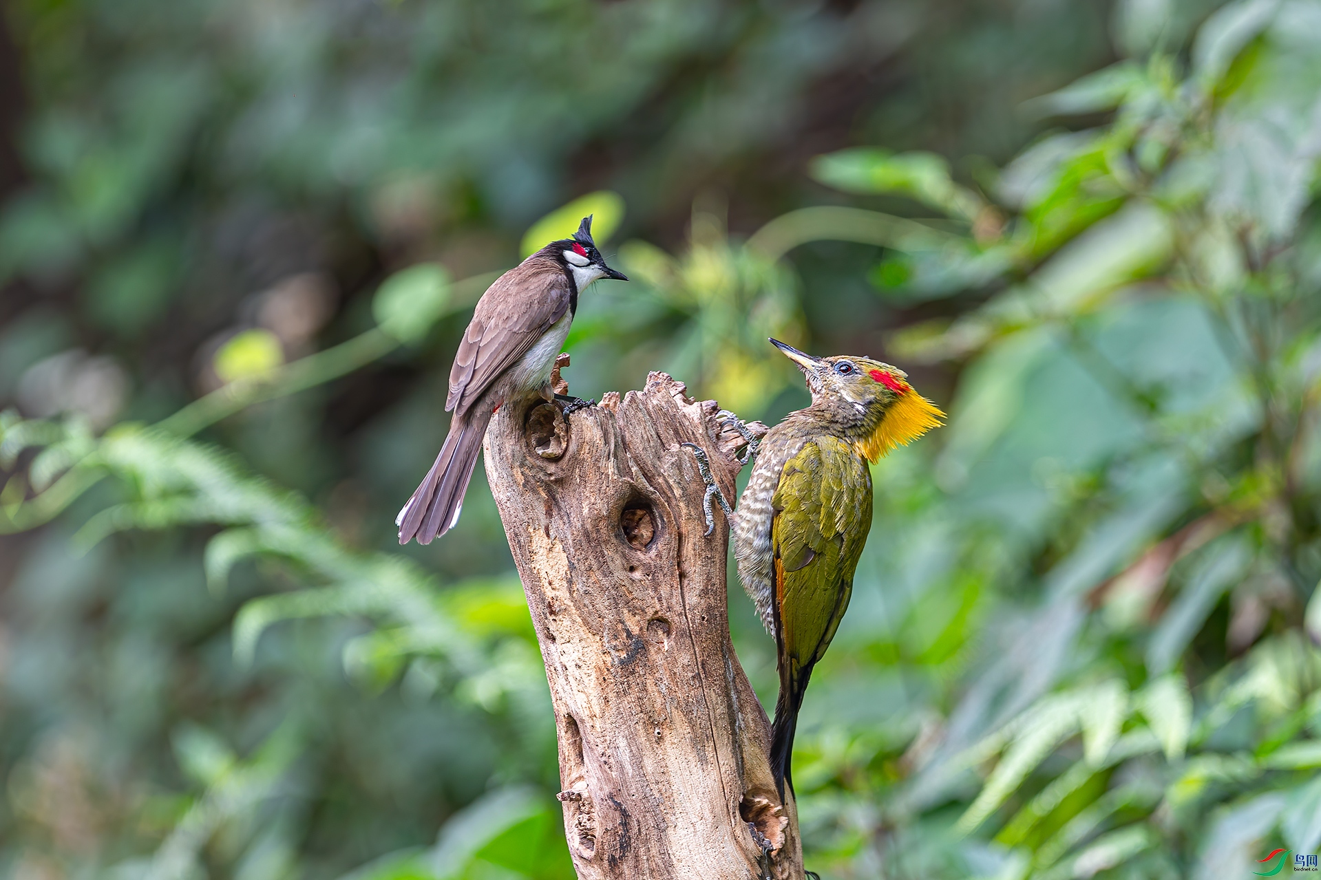 _DSC7132.jpg