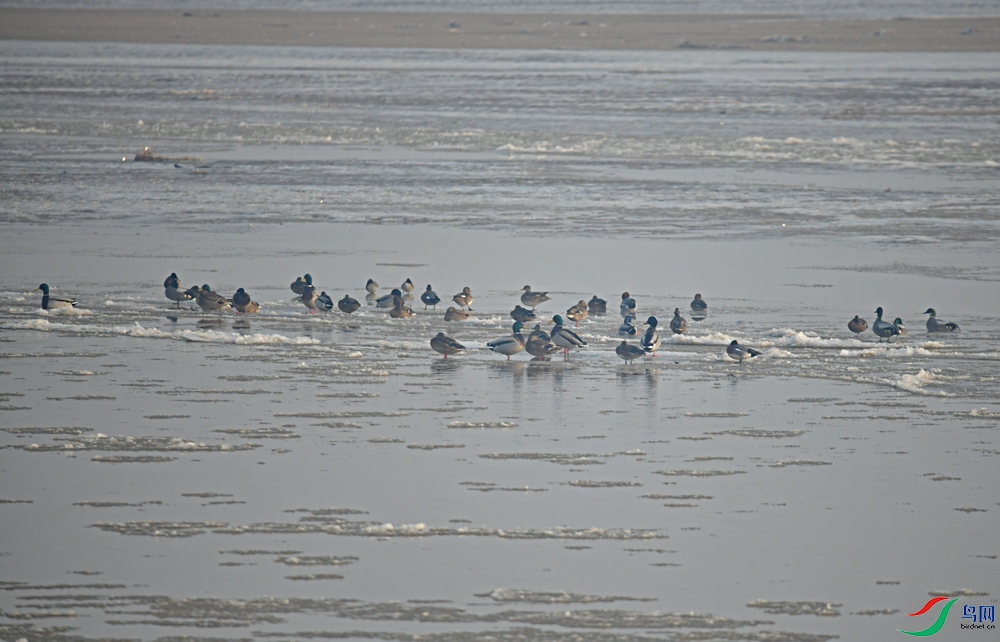 DSC_2402.JPG