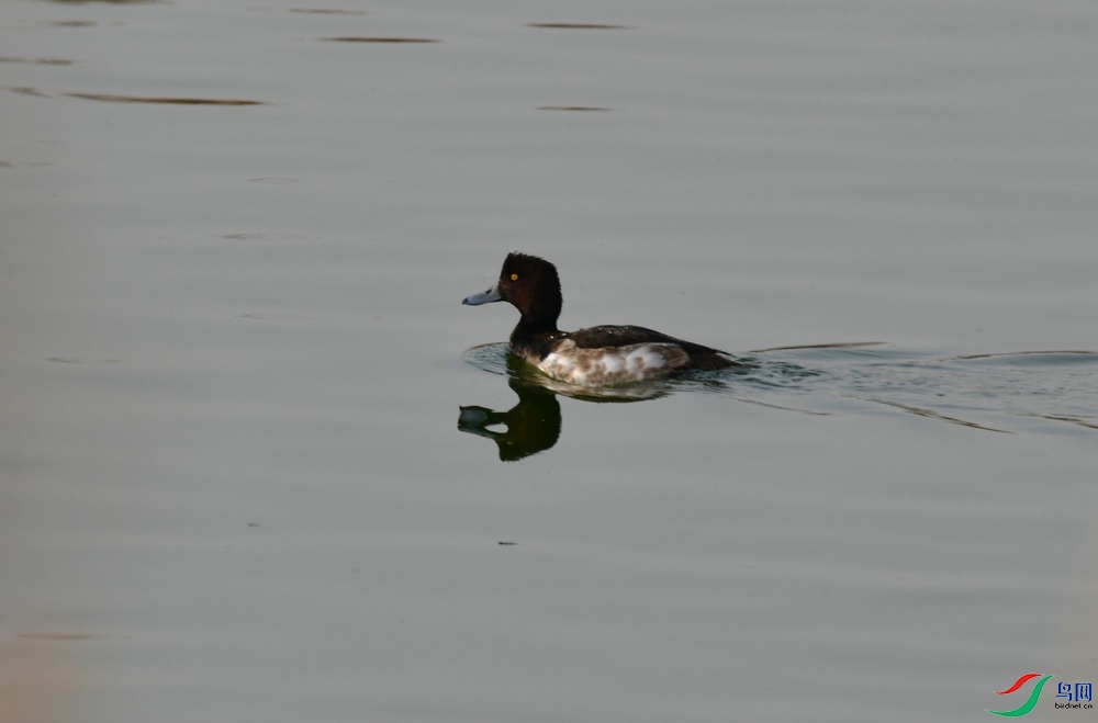 DSC_2939_����.JPG