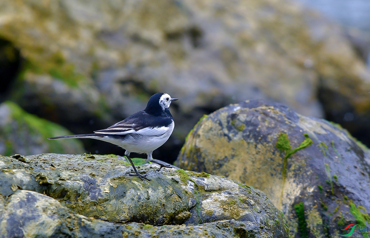 DSC_0861.JPG
