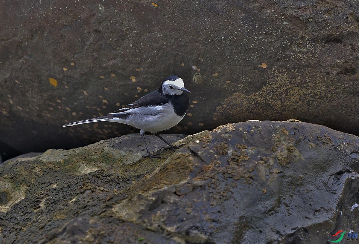 DSC_0838.JPG