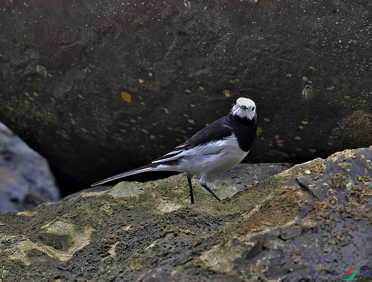 DSC_0837.JPG