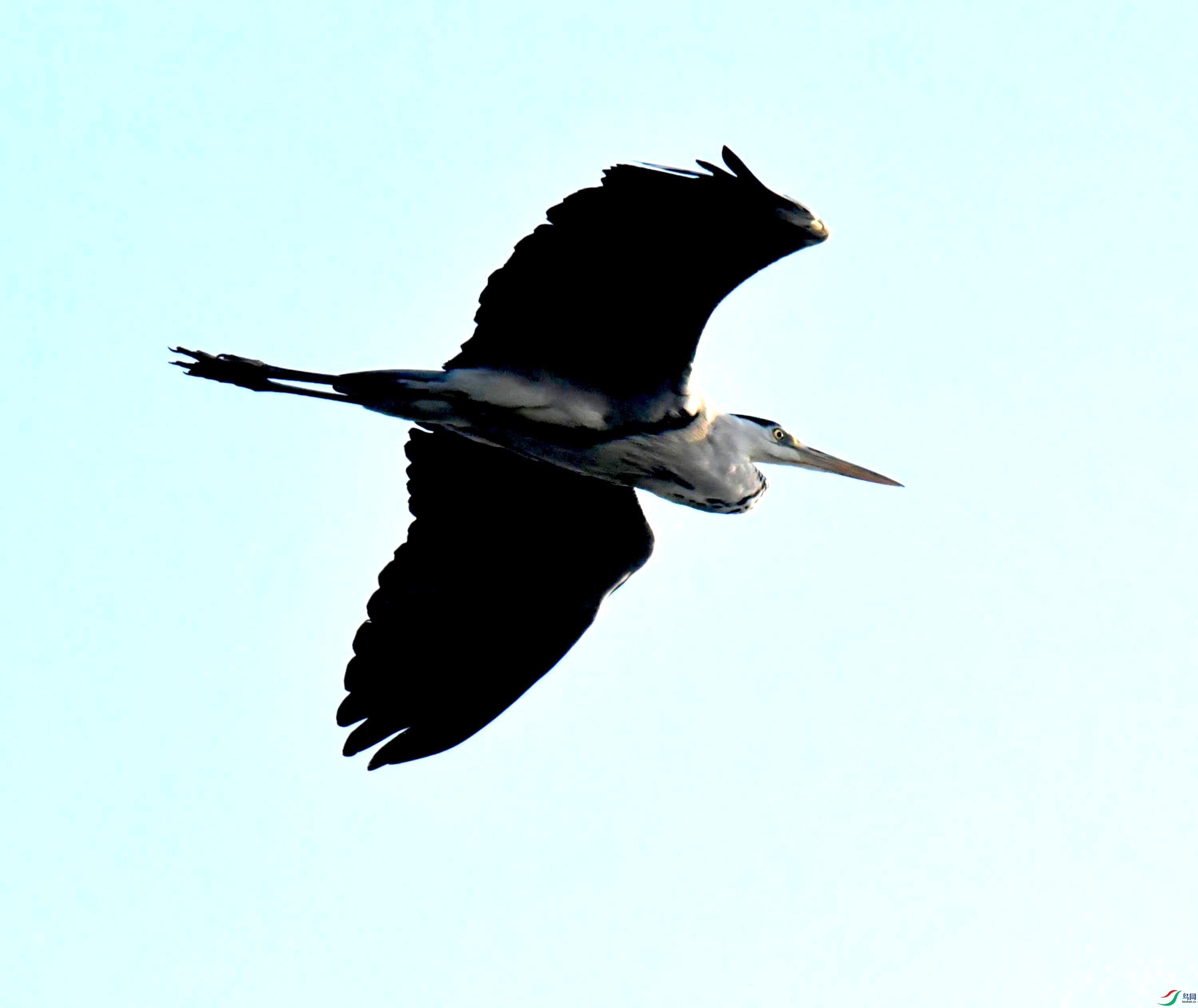 DSC_0689.JPG