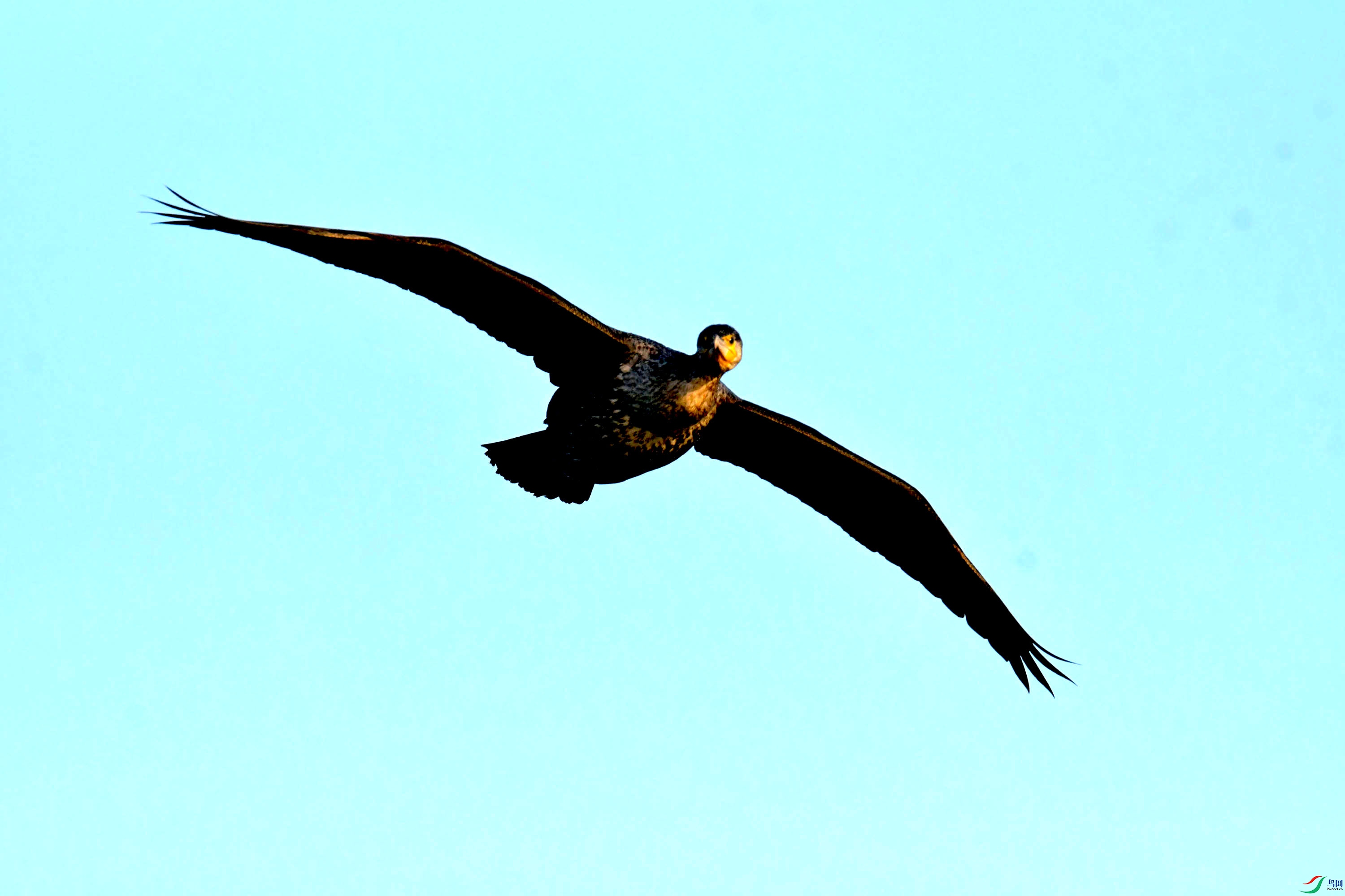 DSC_2608.JPG
