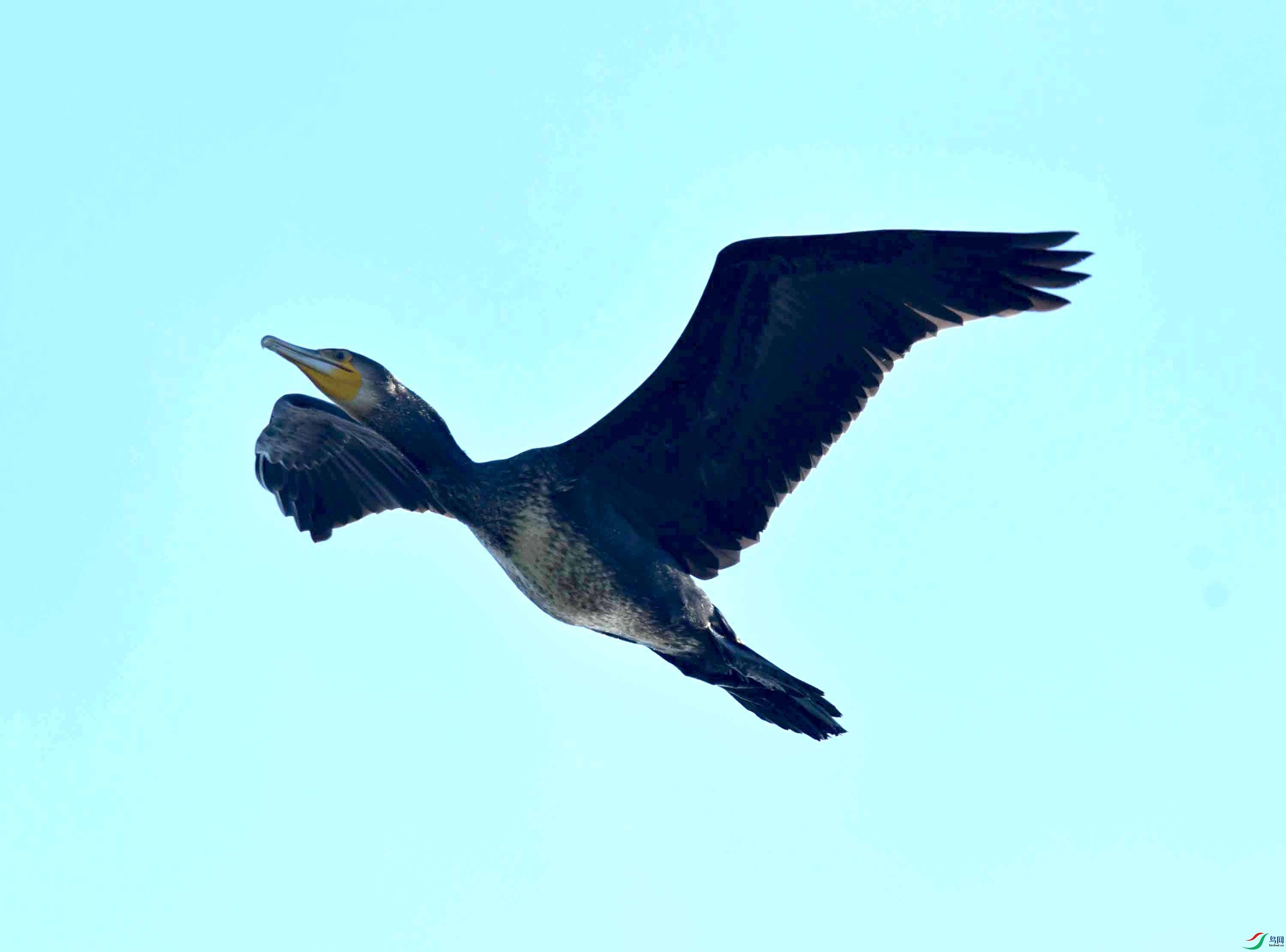 DSC_2854.JPG