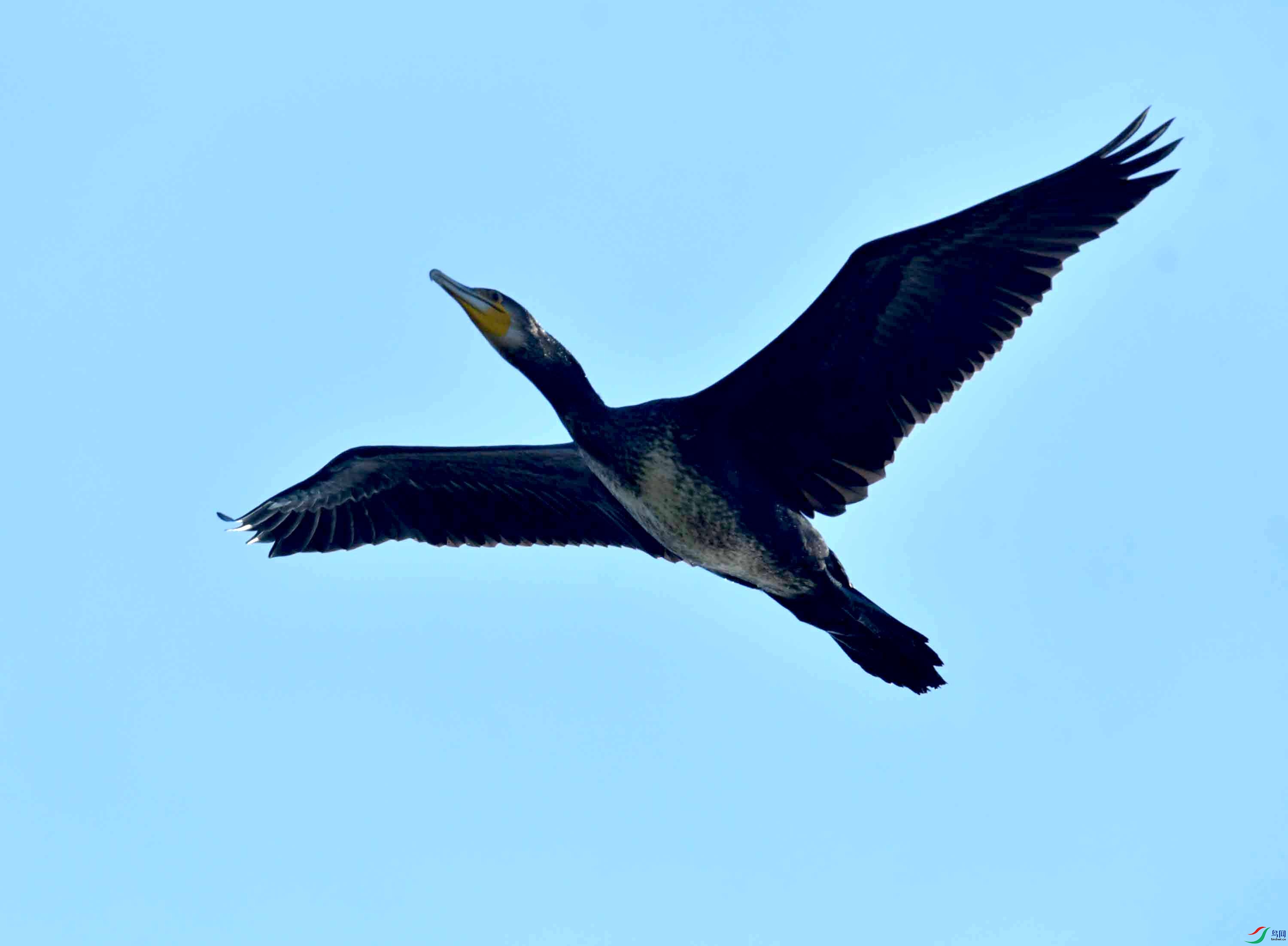 DSC_2852.JPG