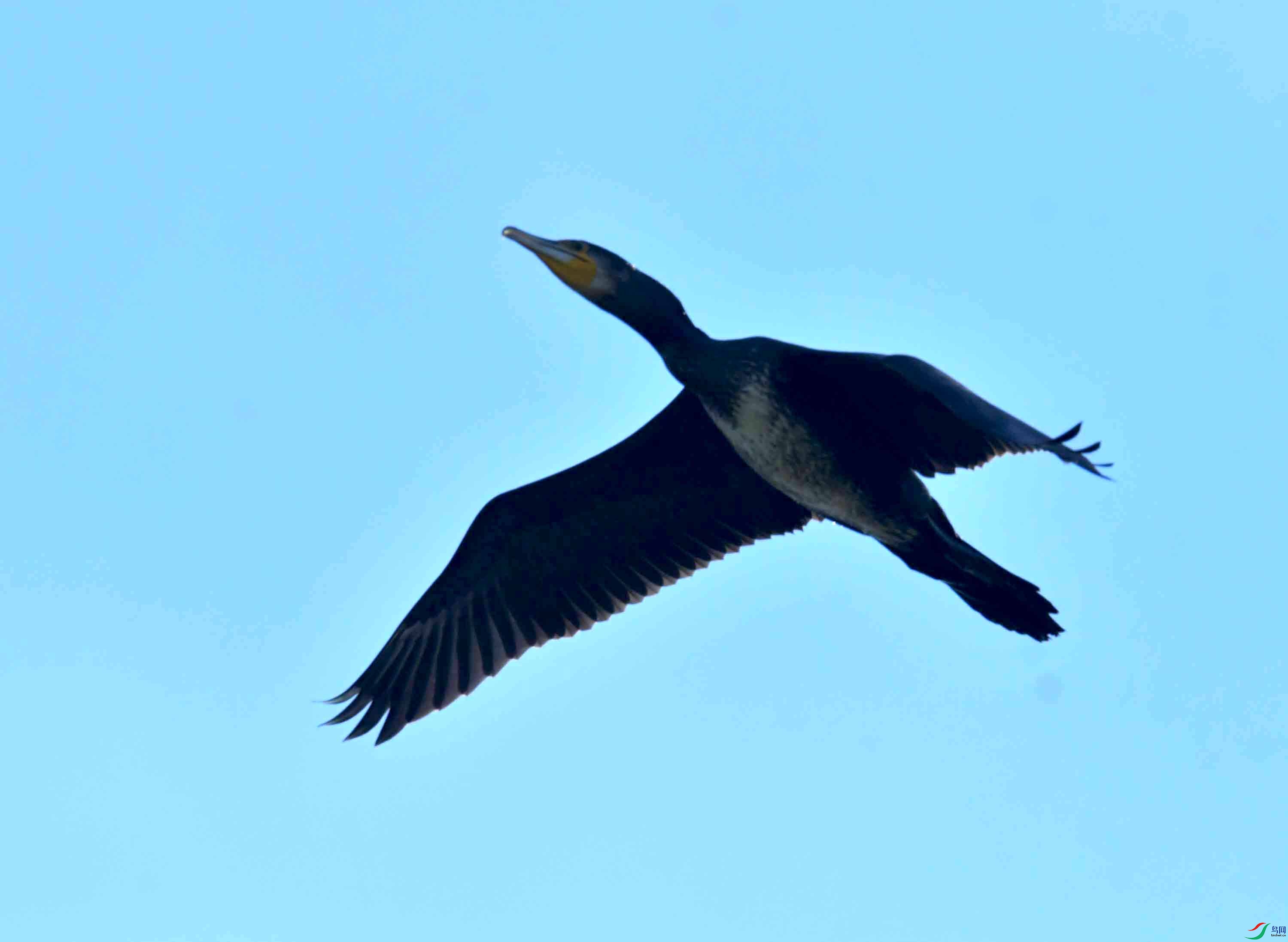 DSC_2851.JPG