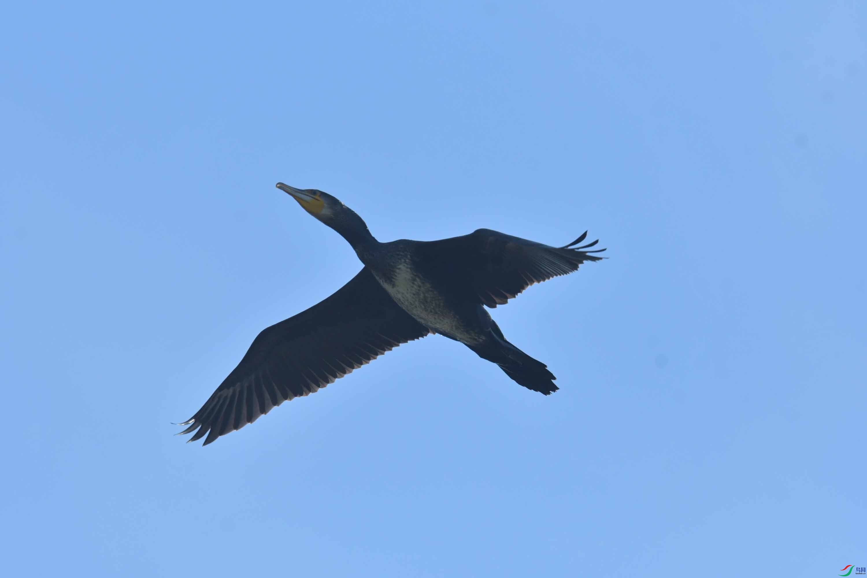 DSC_2849.JPG