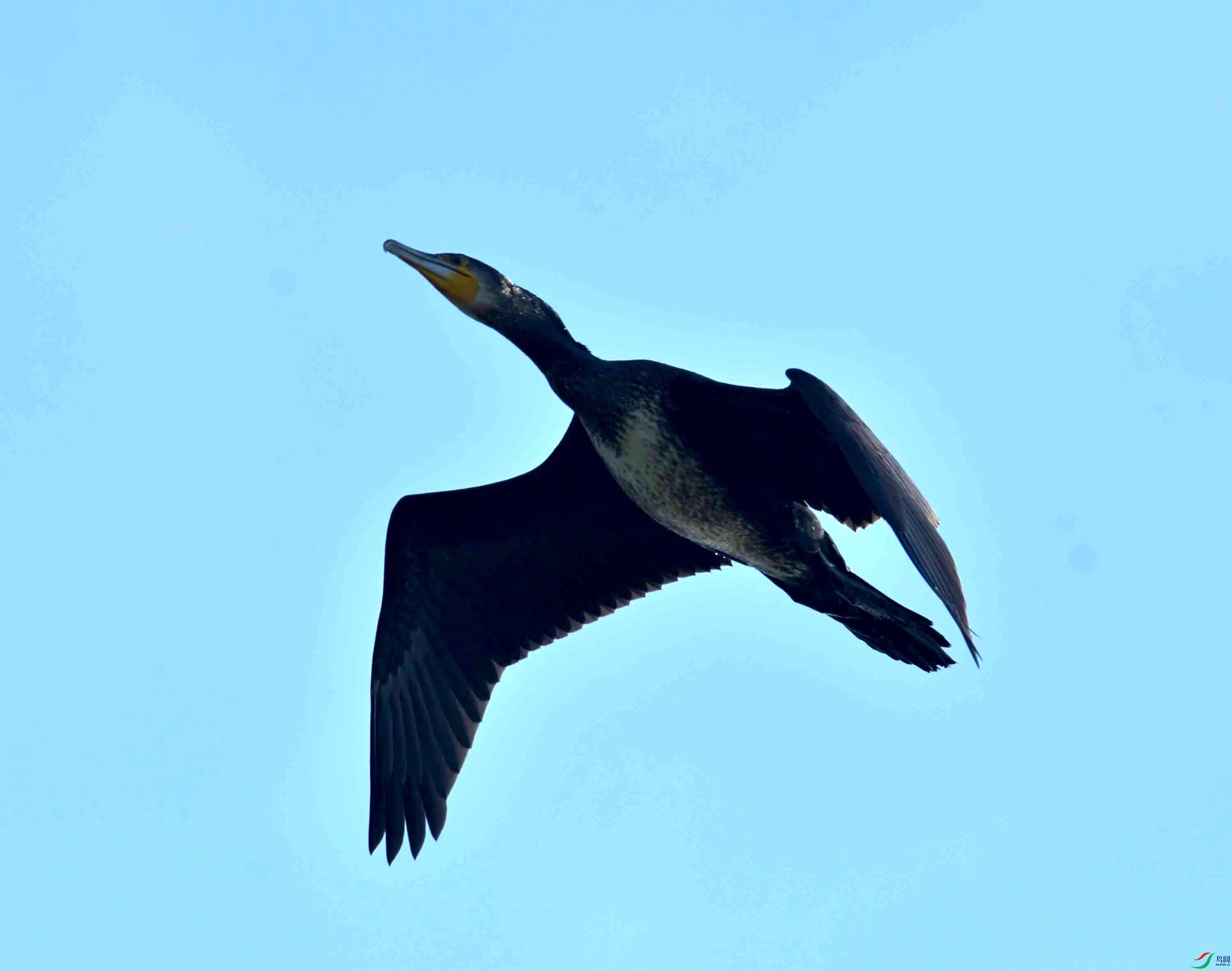 DSC_2853.JPG