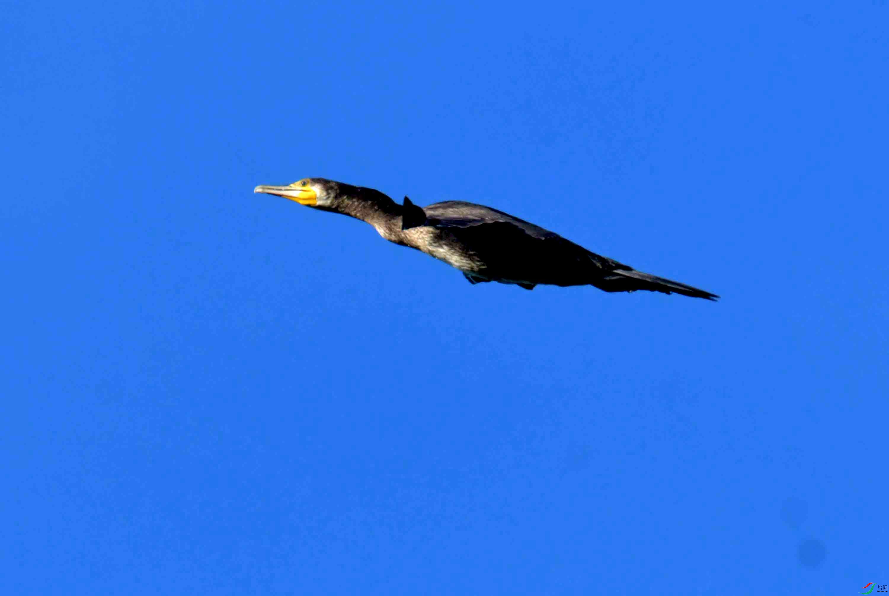 DSC_2857.JPG