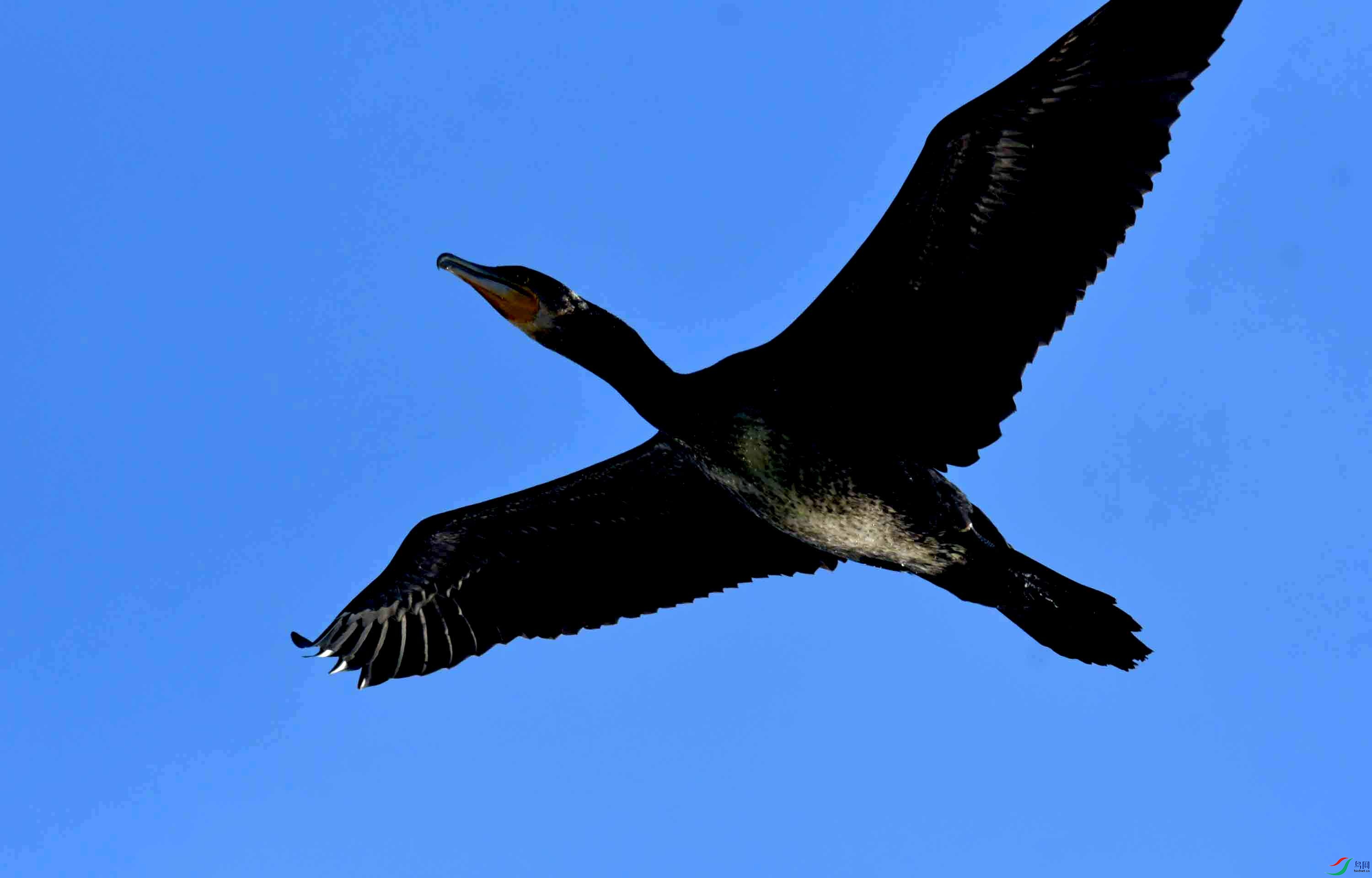 DSC_2855.JPG