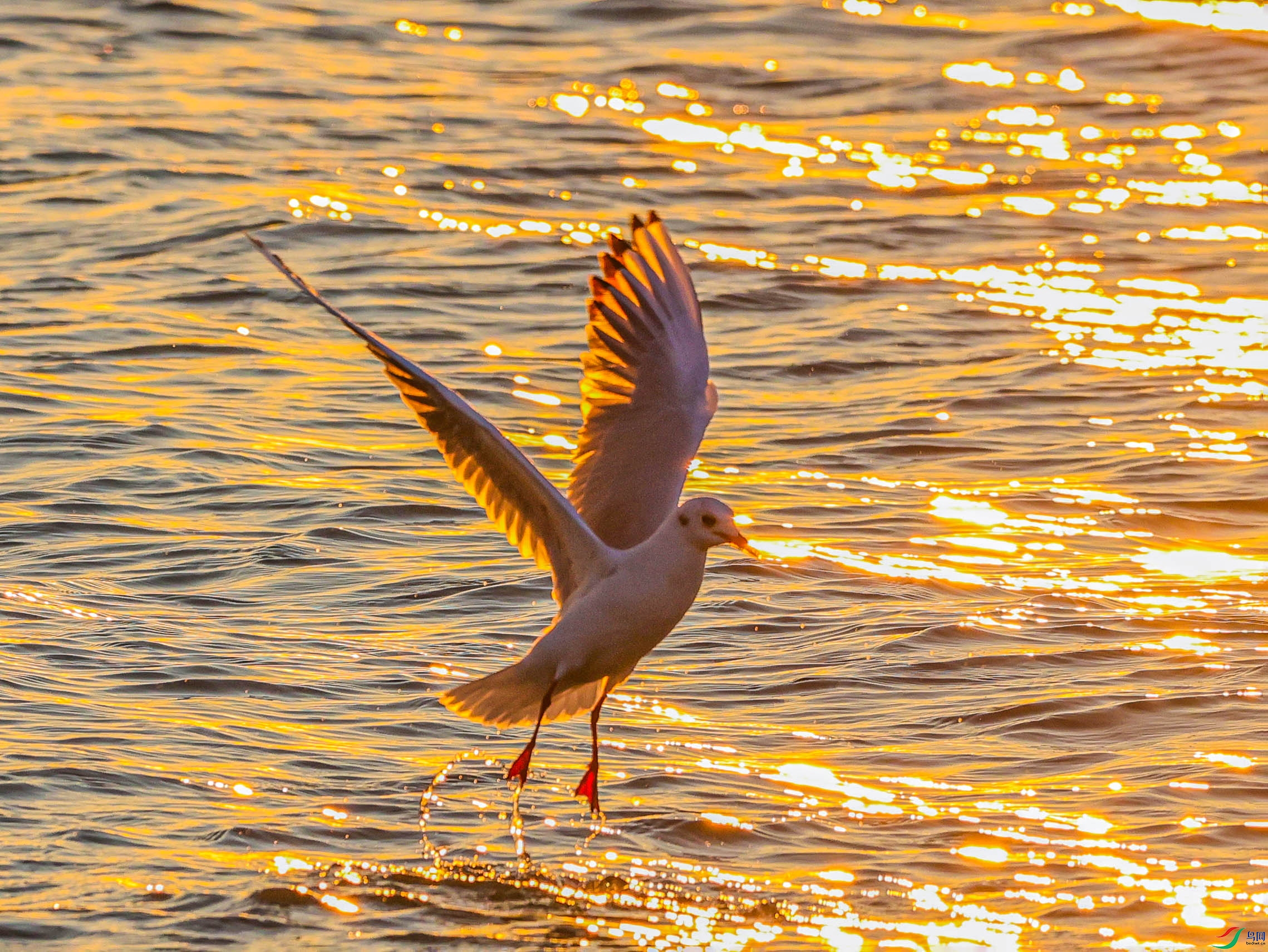 1K3A9096 ����.jpg