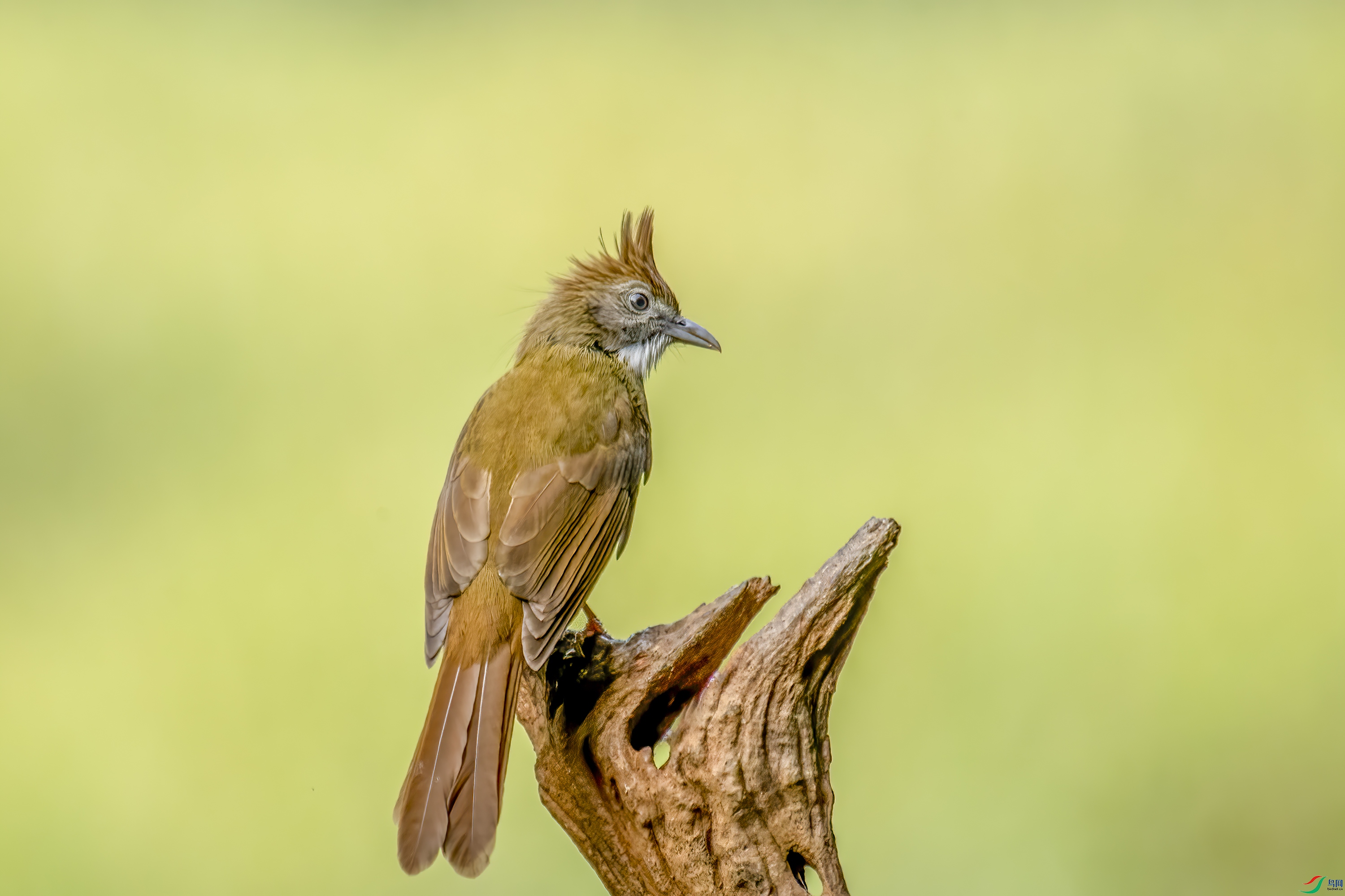 DSC_0493.jpg