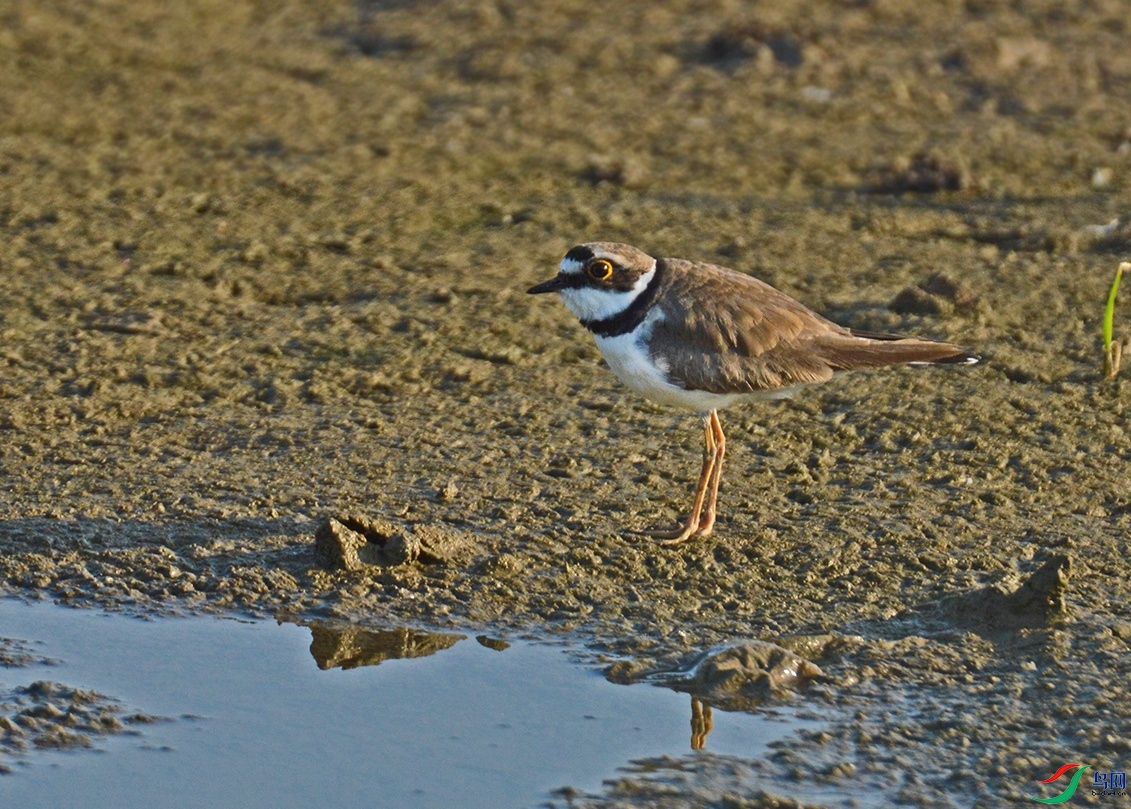 DSC_0257.jpg