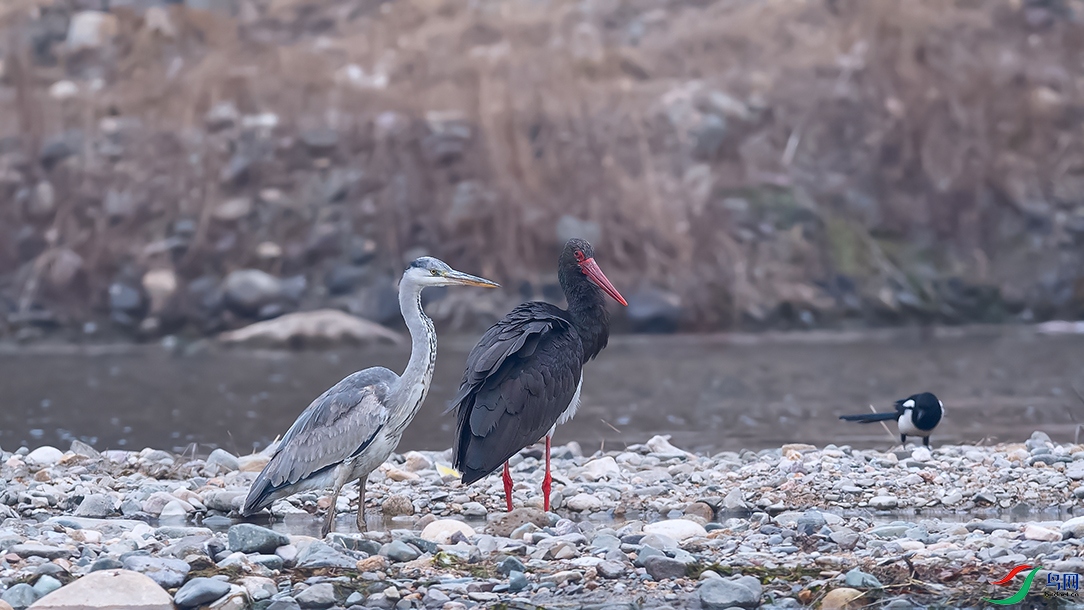 DSC_8833_DxOa.jpg
