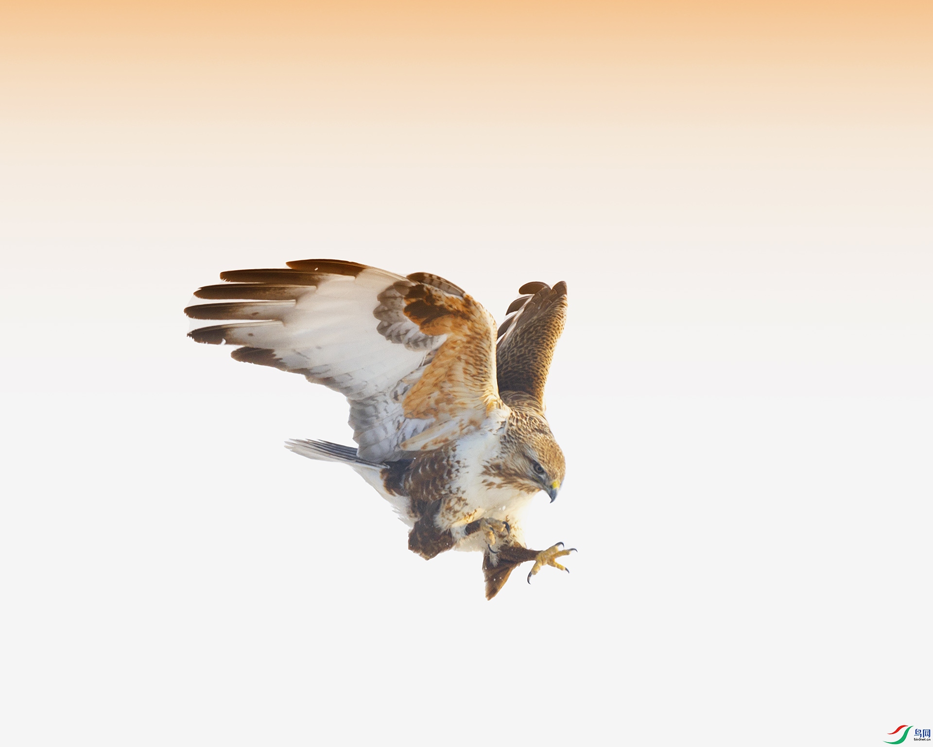 019A7745 ����.jpg