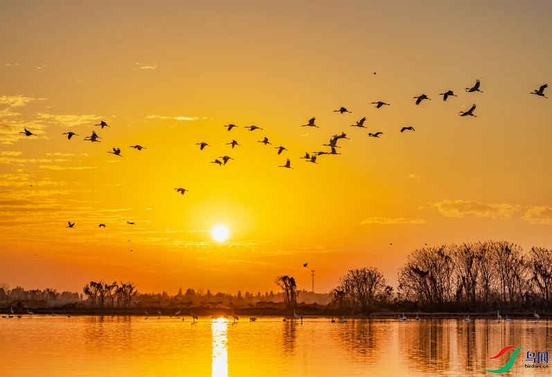 0P8A8523 ����_1.jpg