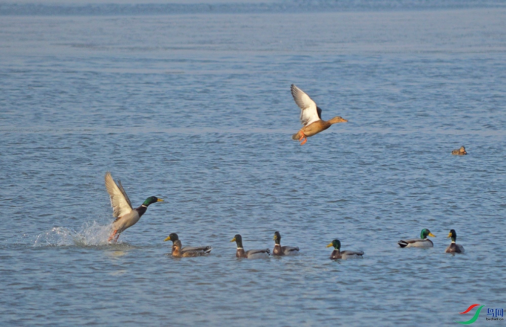 DSC_0006ff_��ͼ��.jpg