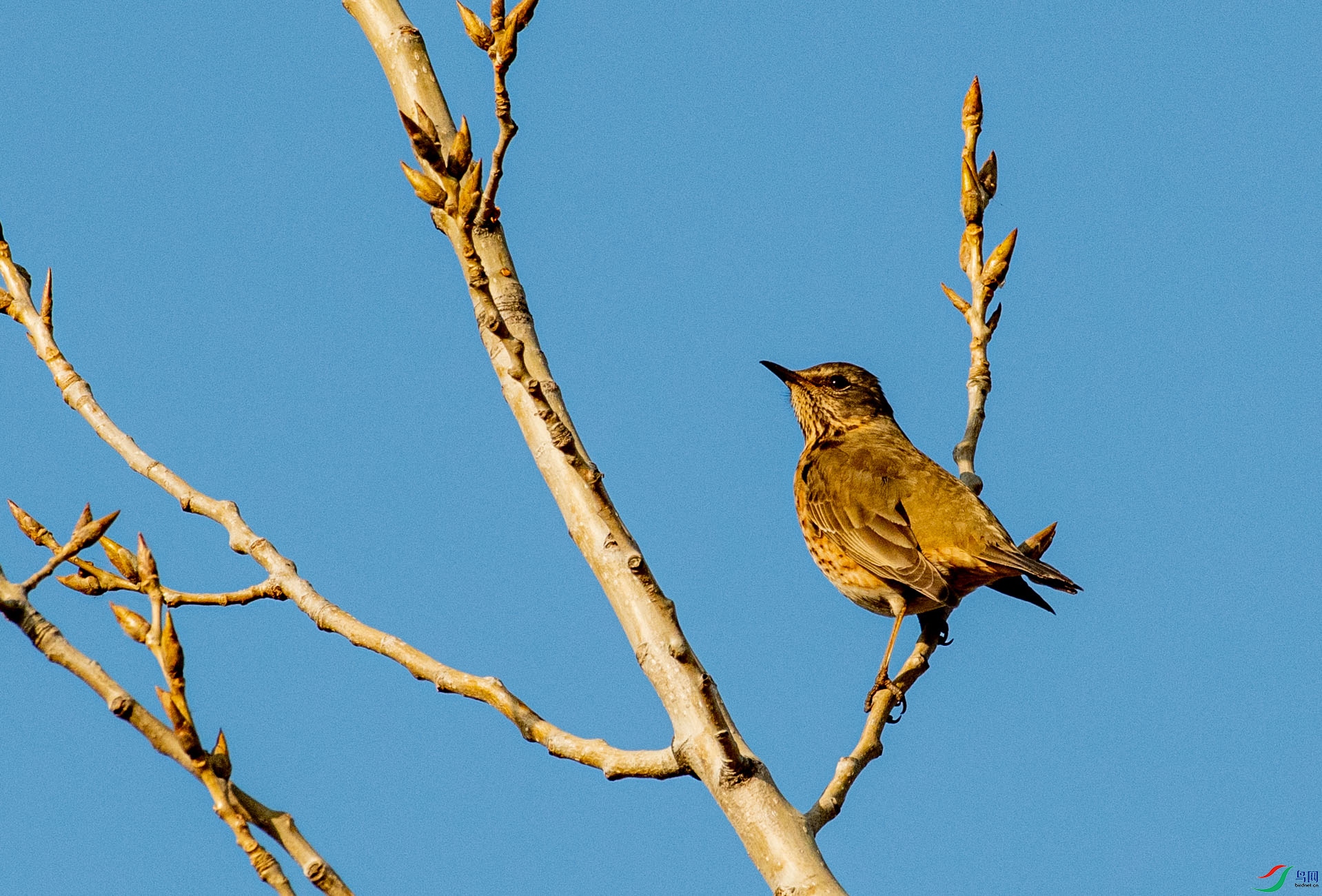 DSC_3486.jpg