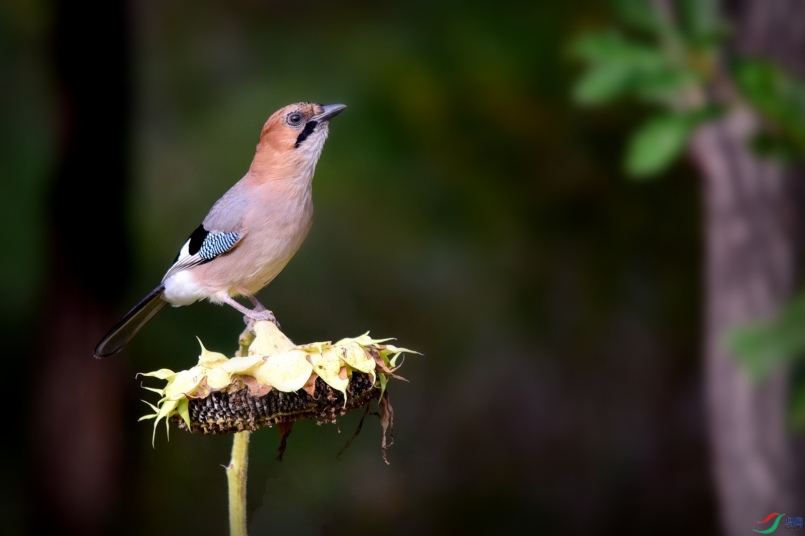 DSC_2042.JPG