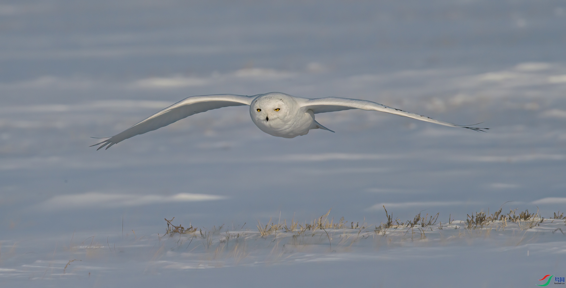 DSC_3420.jpg