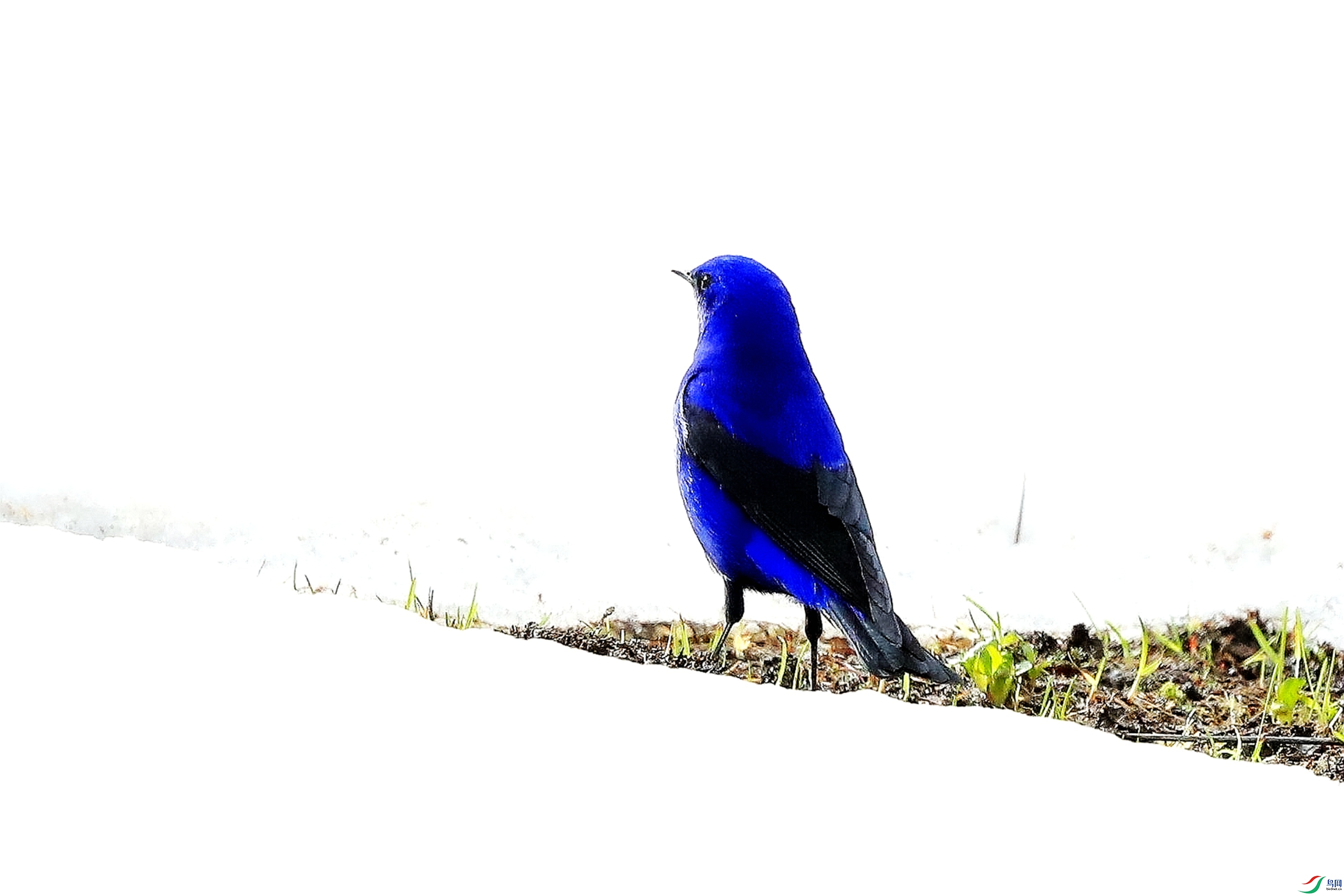 5599_����.jpg