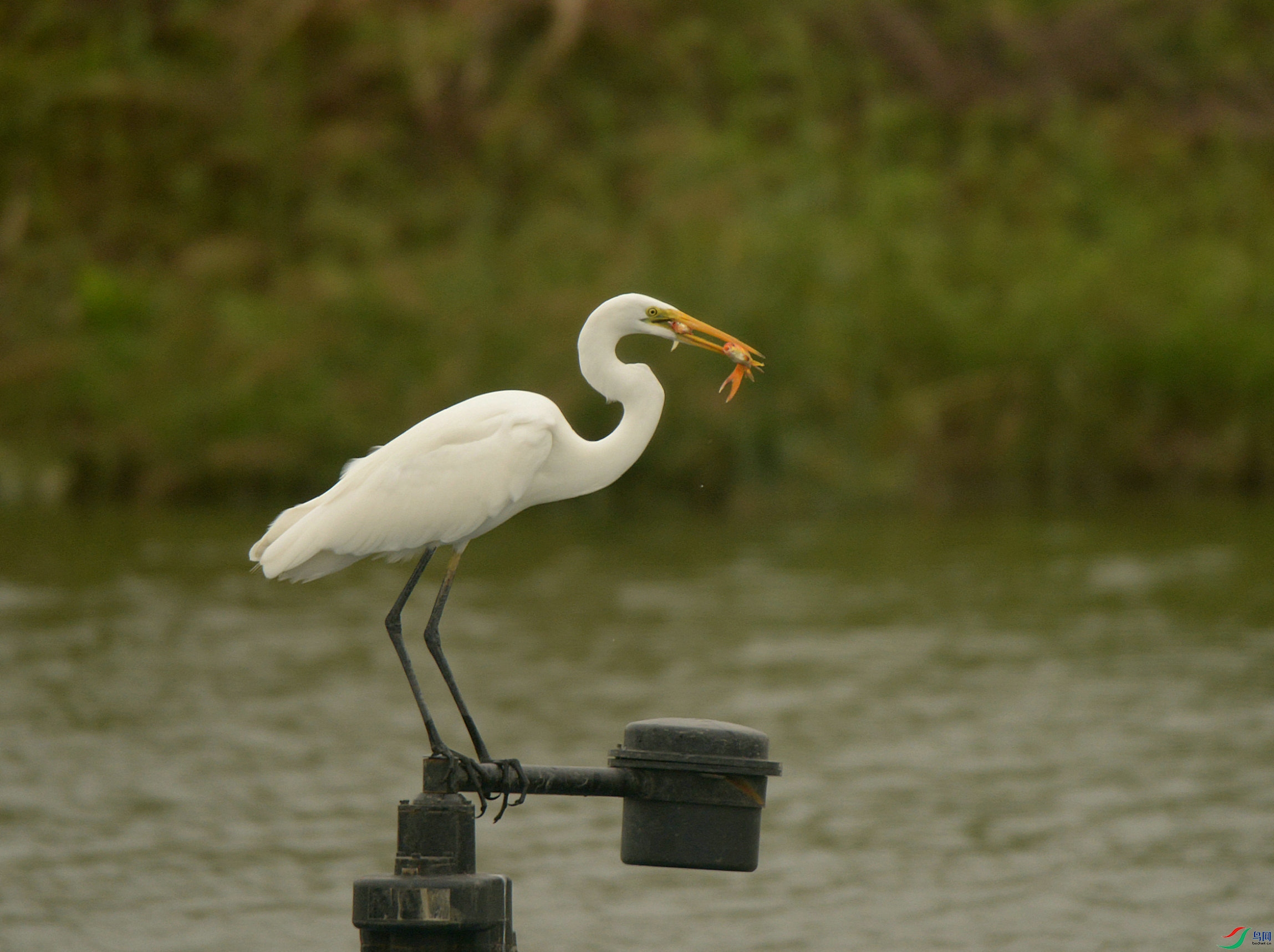 DSC_5206.jpg