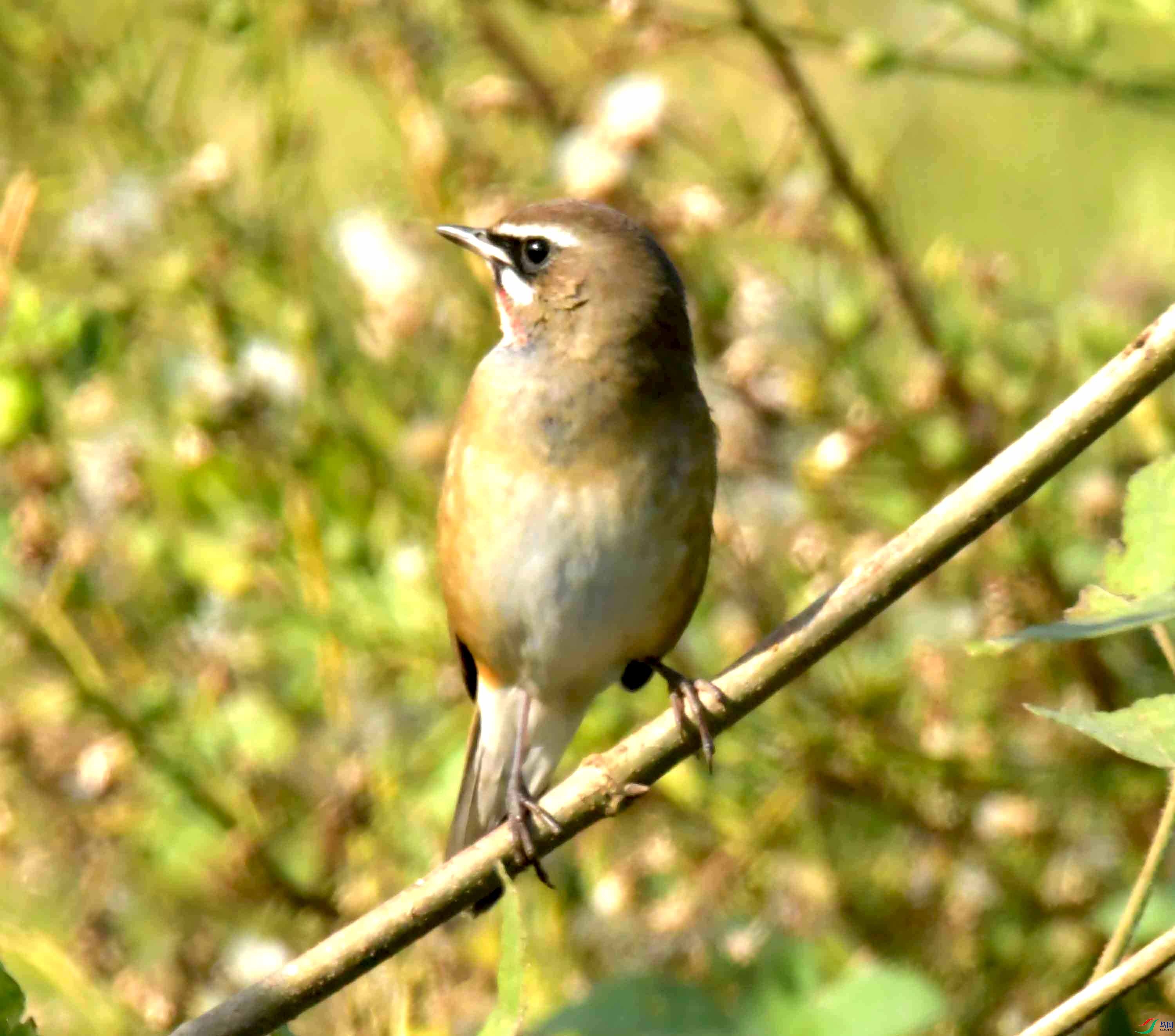 DSC_1493.JPG