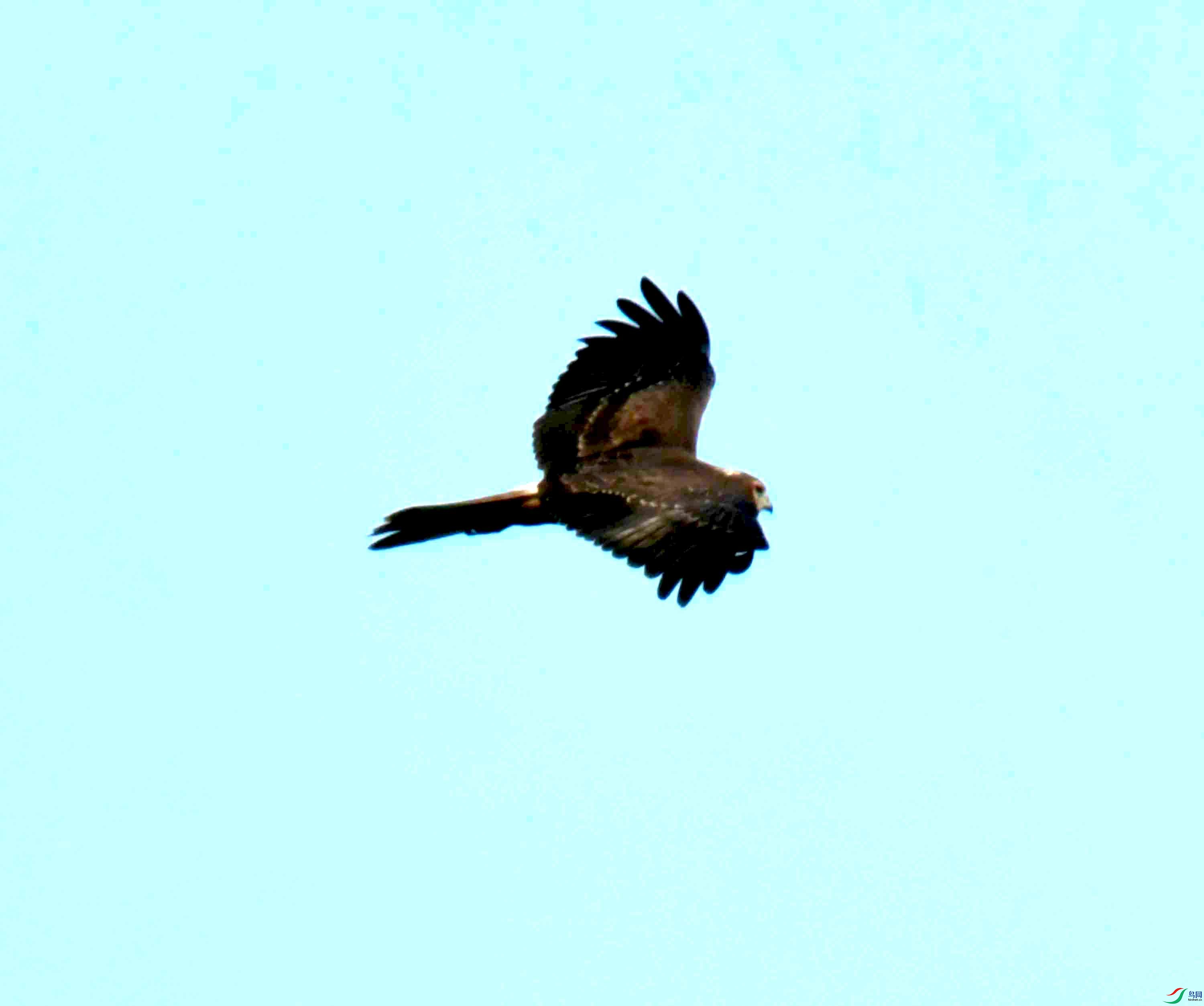DSC_4191.JPG