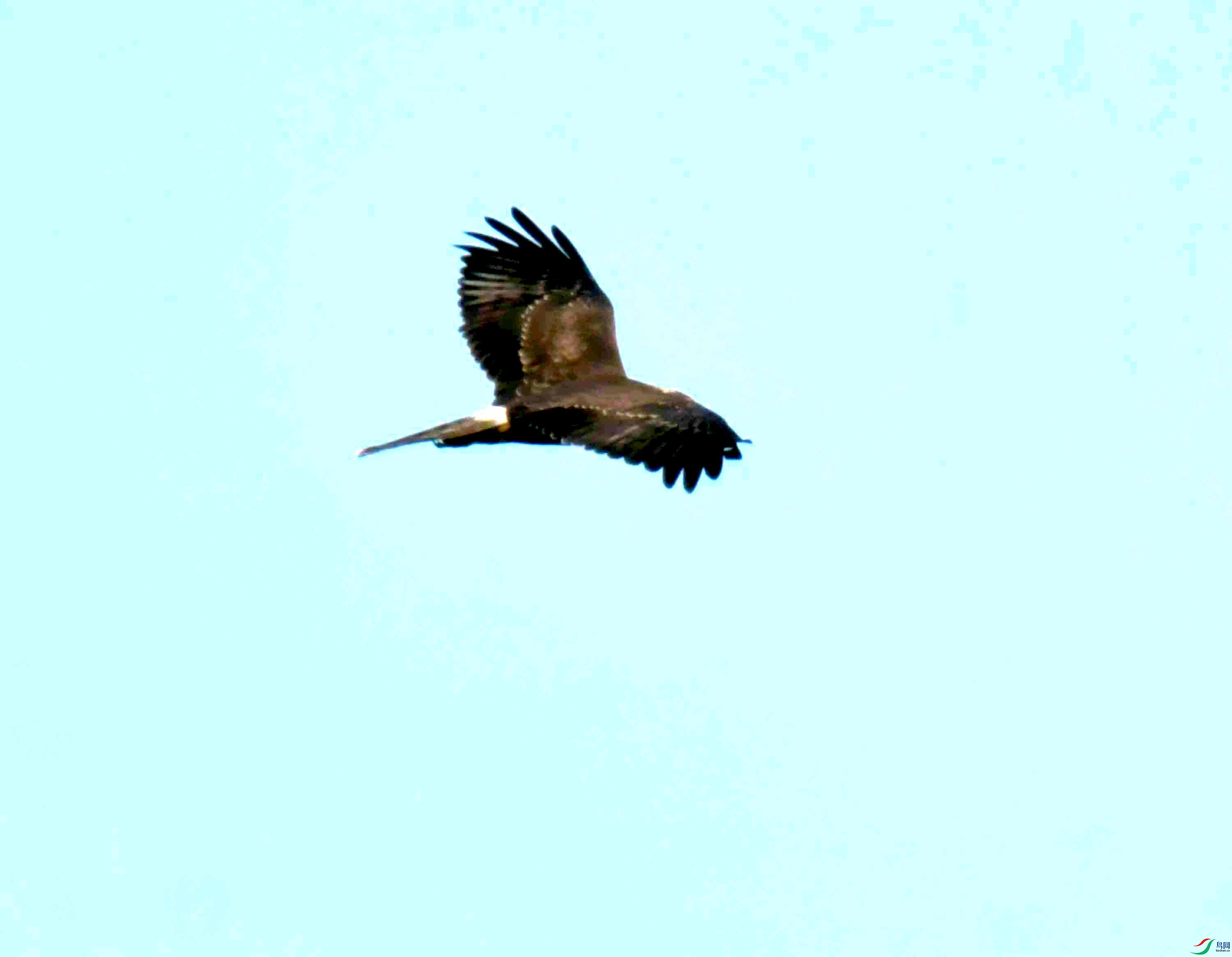 DSC_4189.JPG