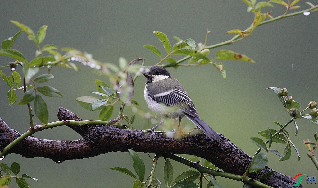 7W6J3253_wpsͼƬ.JPG
